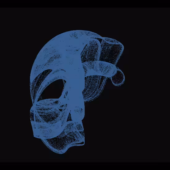 fx spirit #3