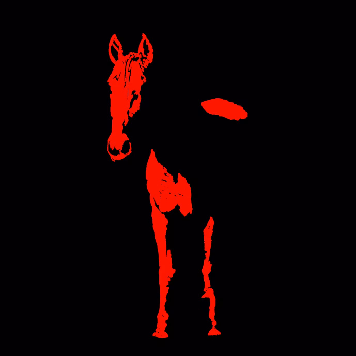 Shadow horse
