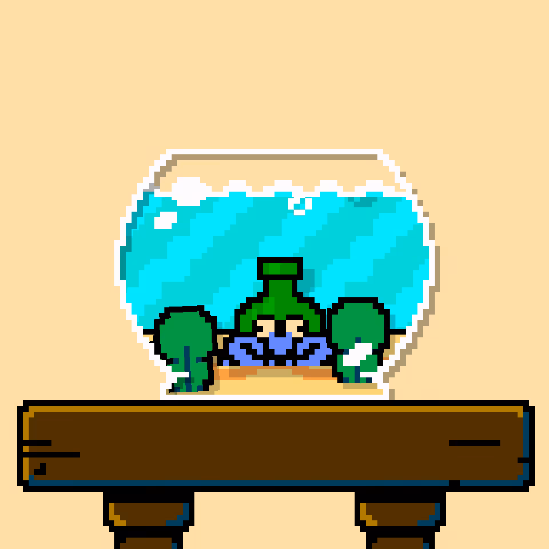 hermit crab #10