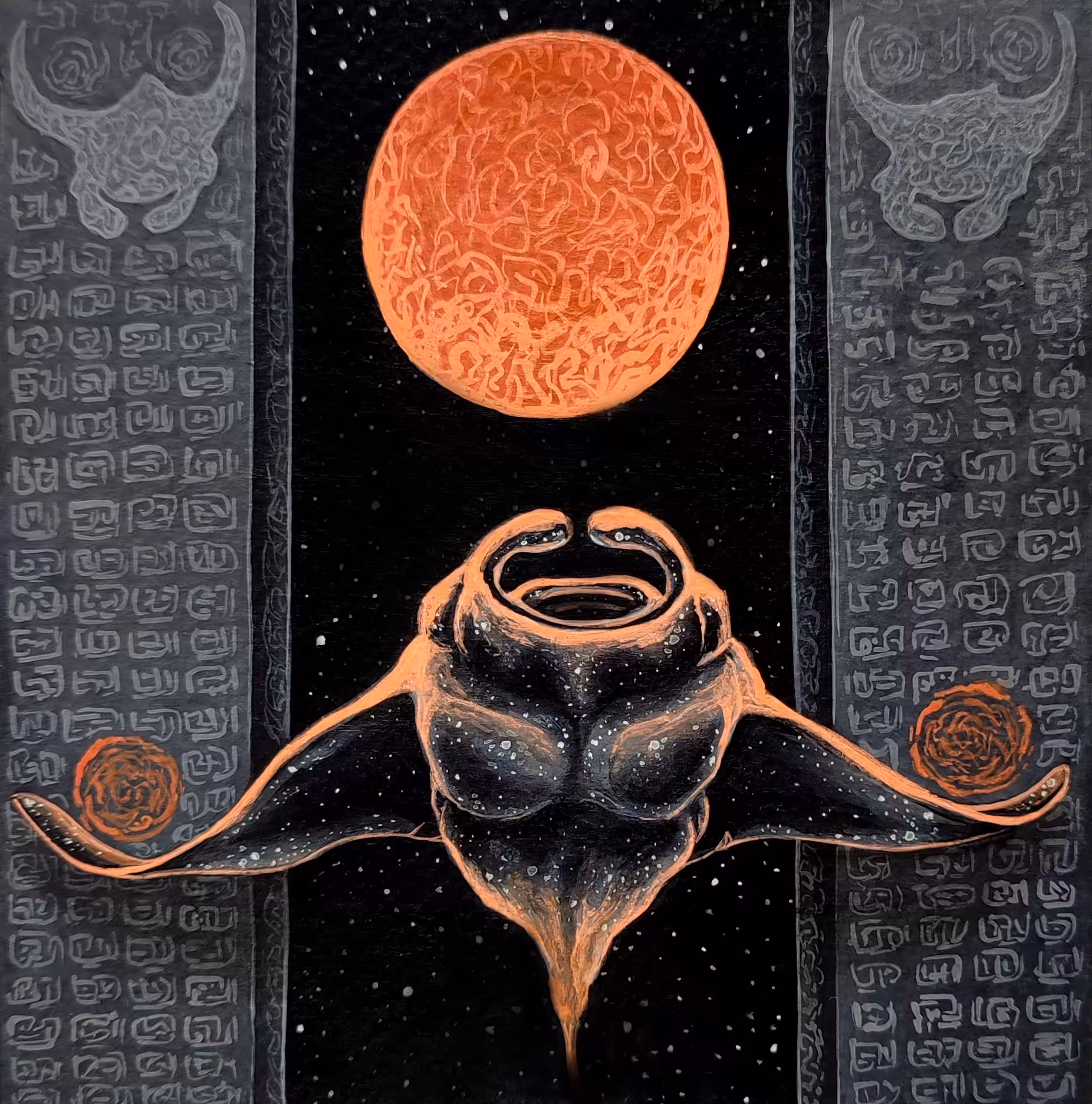 Manta#1
