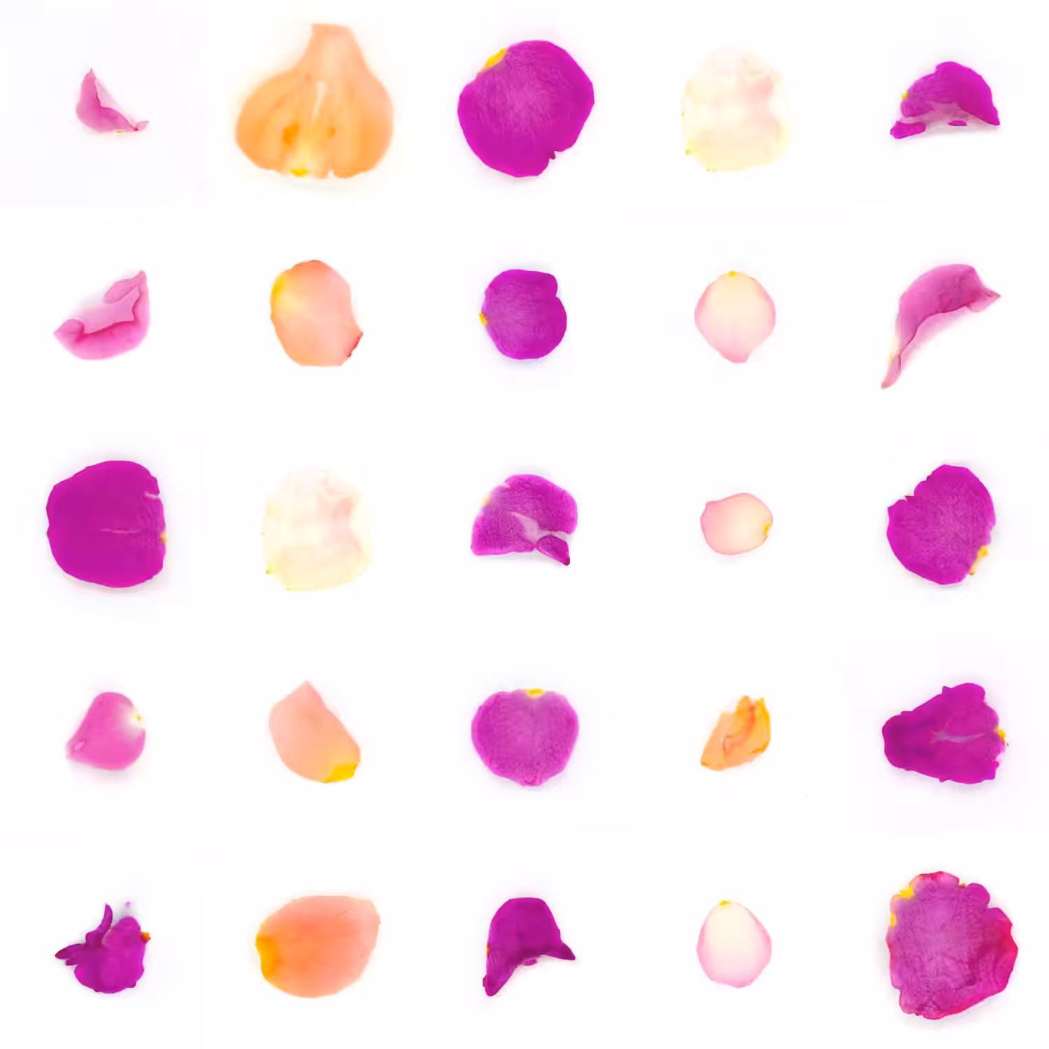 Infinite Petals 5x5#1567