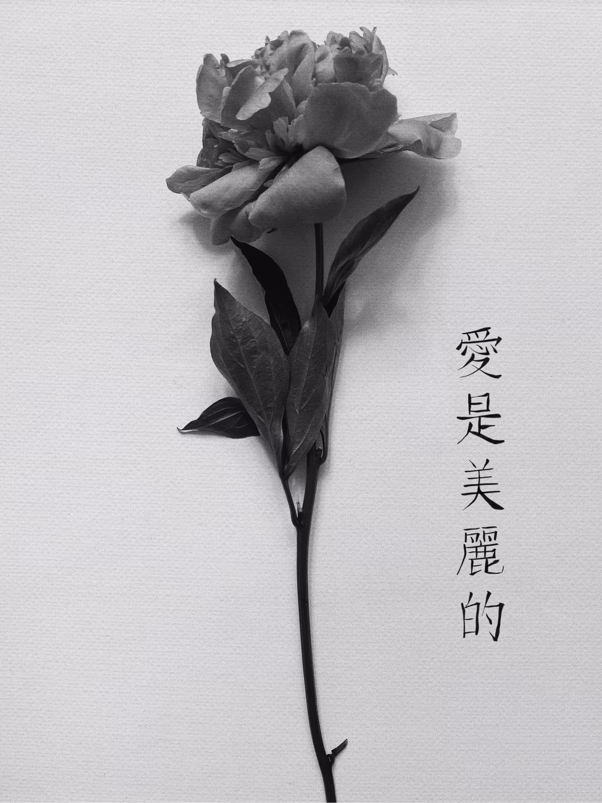 Flower III