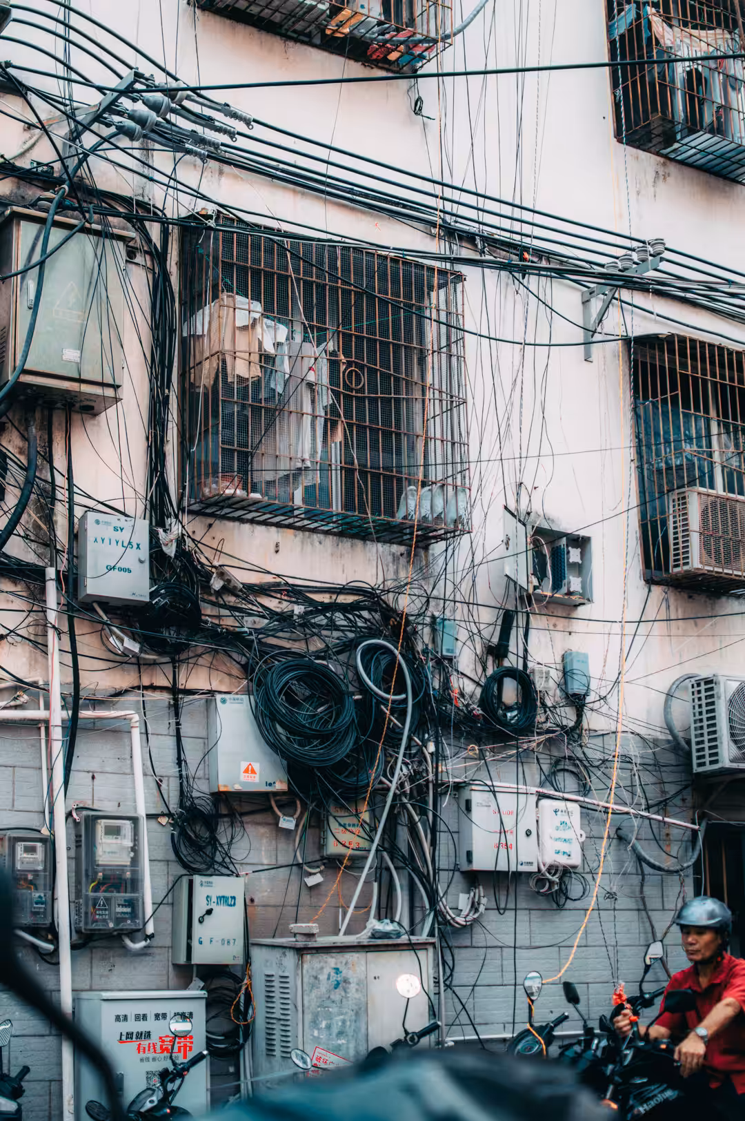 Urban Jungle