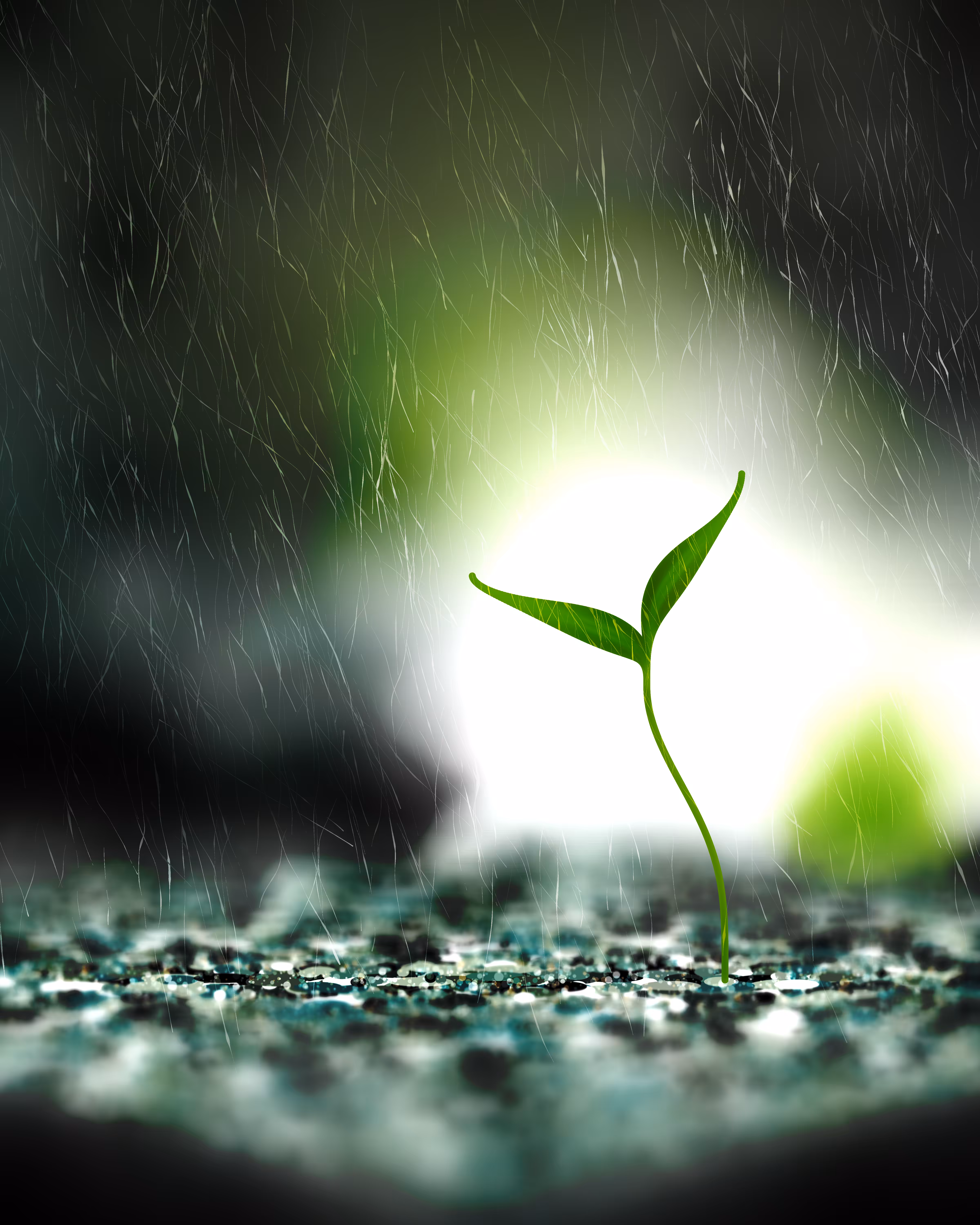 Take Root #10