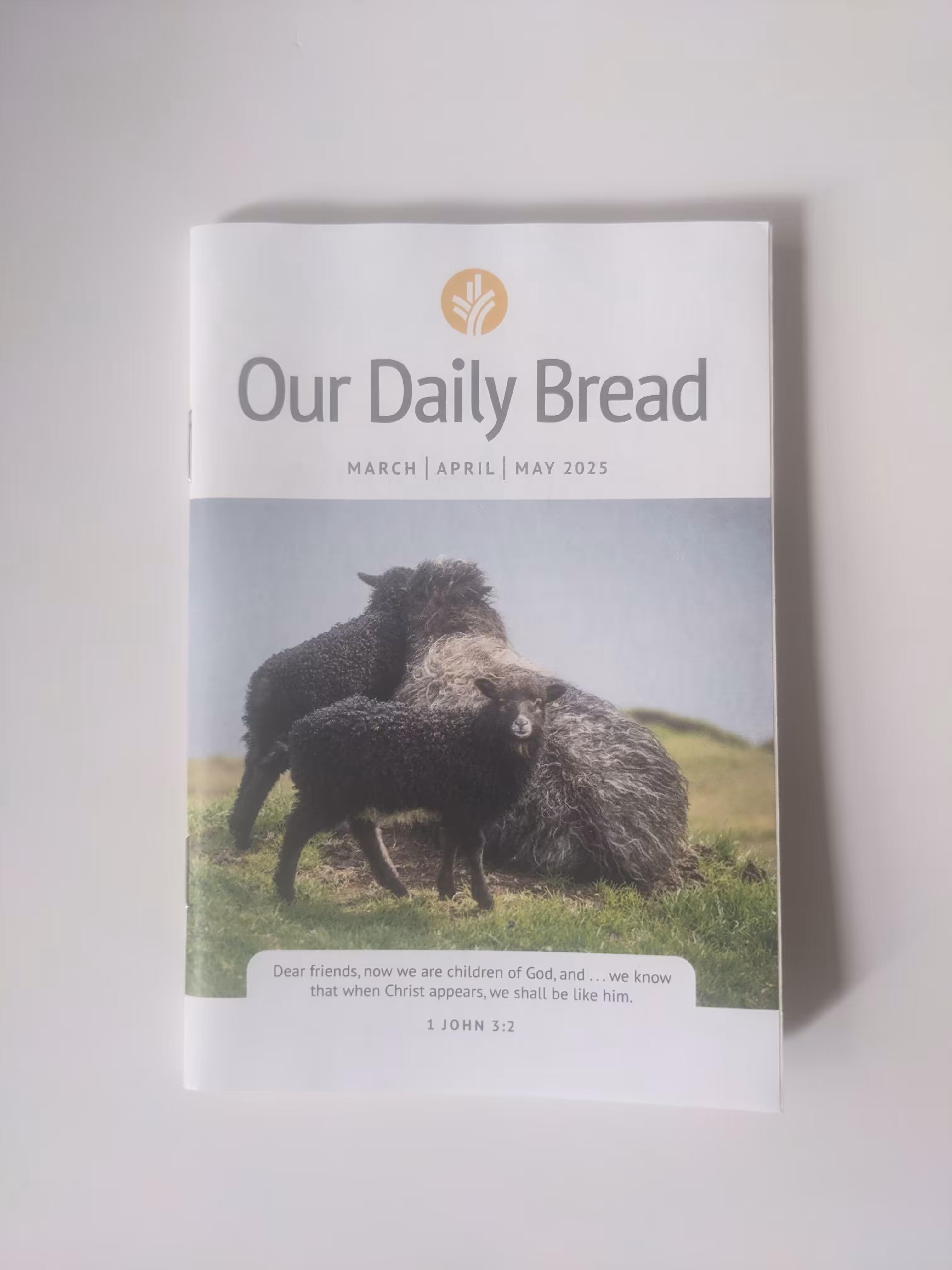 Subway Jesus Pamphlets: Our Daily Bead