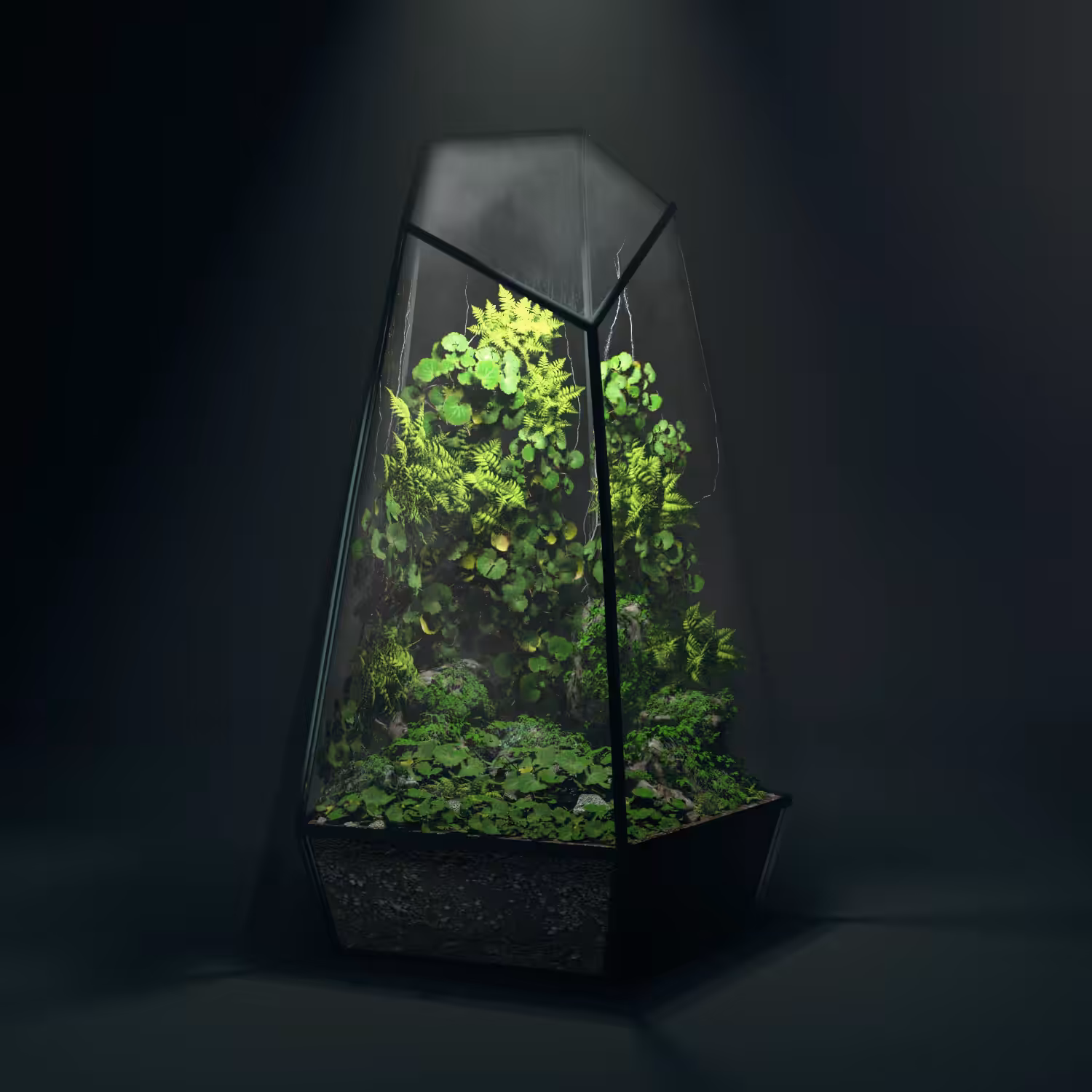 Terrarium #07
