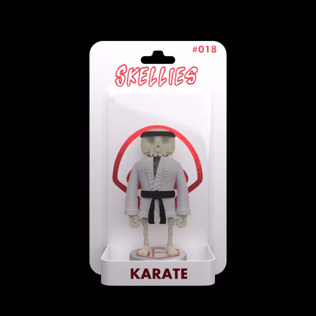 Skellies Voxel - Karate #018