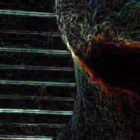 XXIN