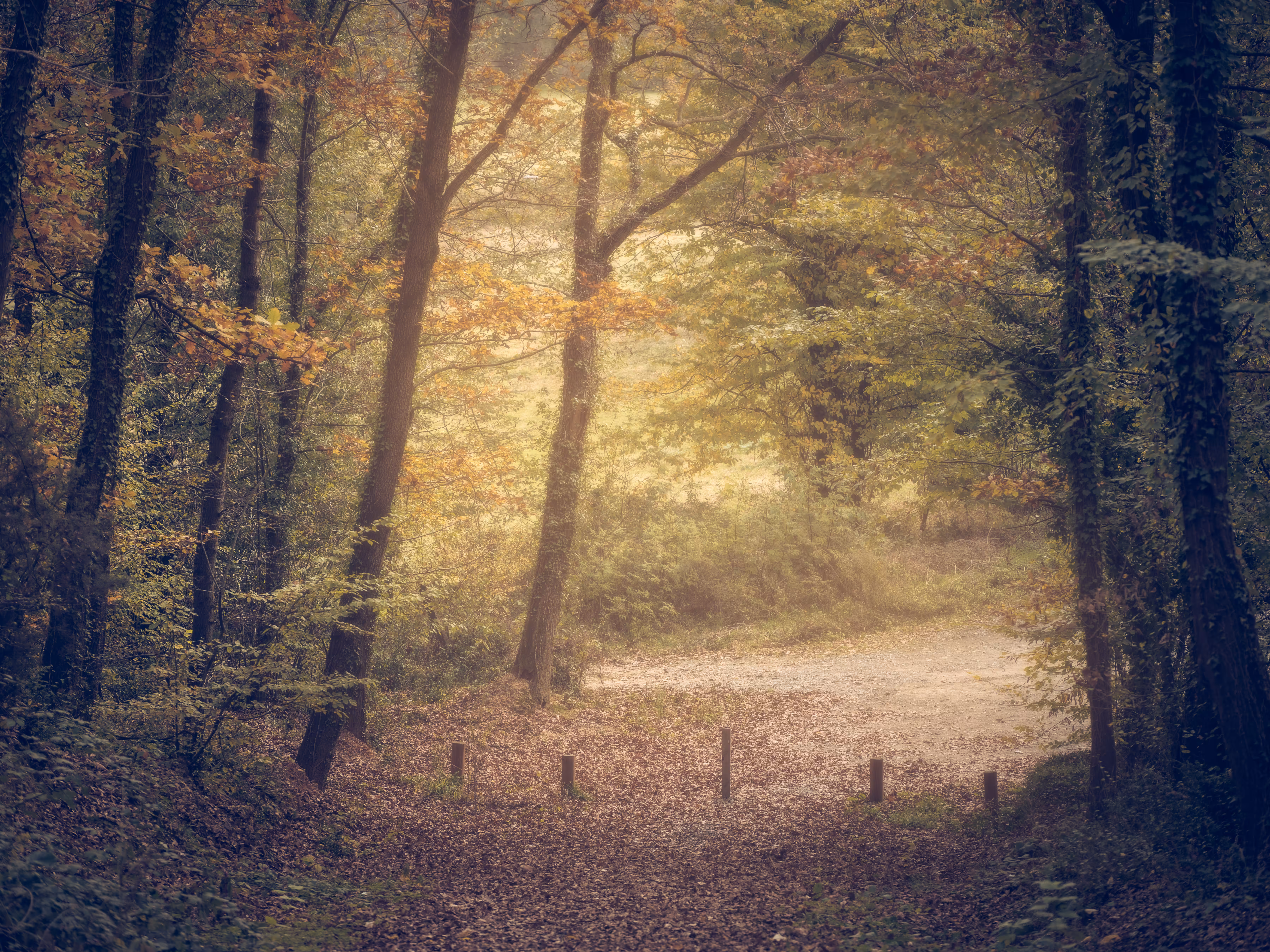 The Nature
