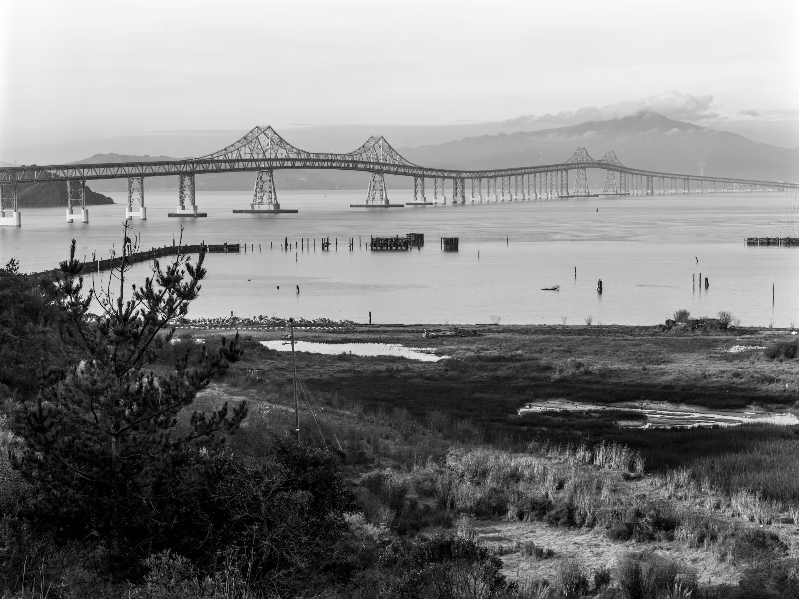 Mt. Tamalpais from Point Molate Beach Park