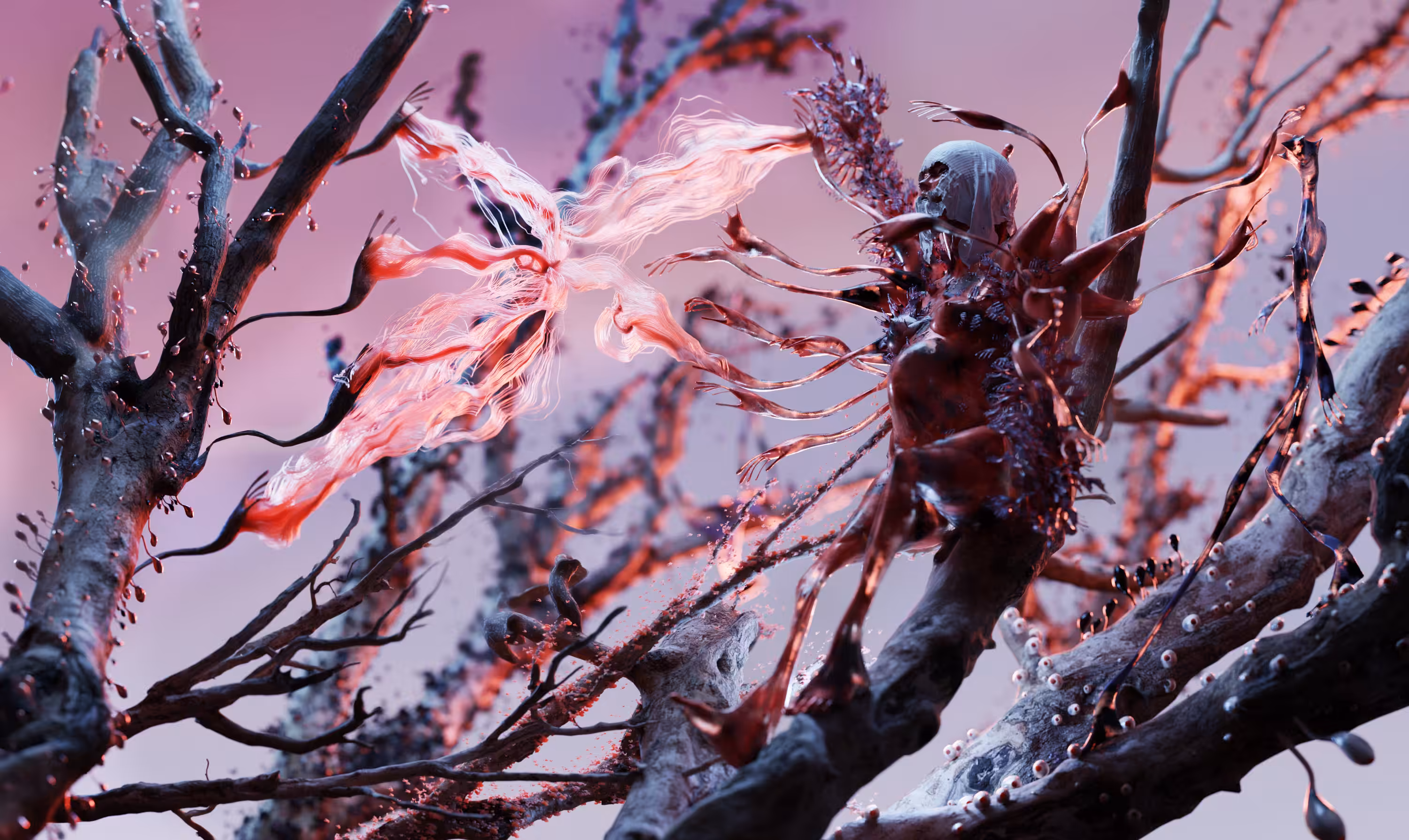 crystal sakura 