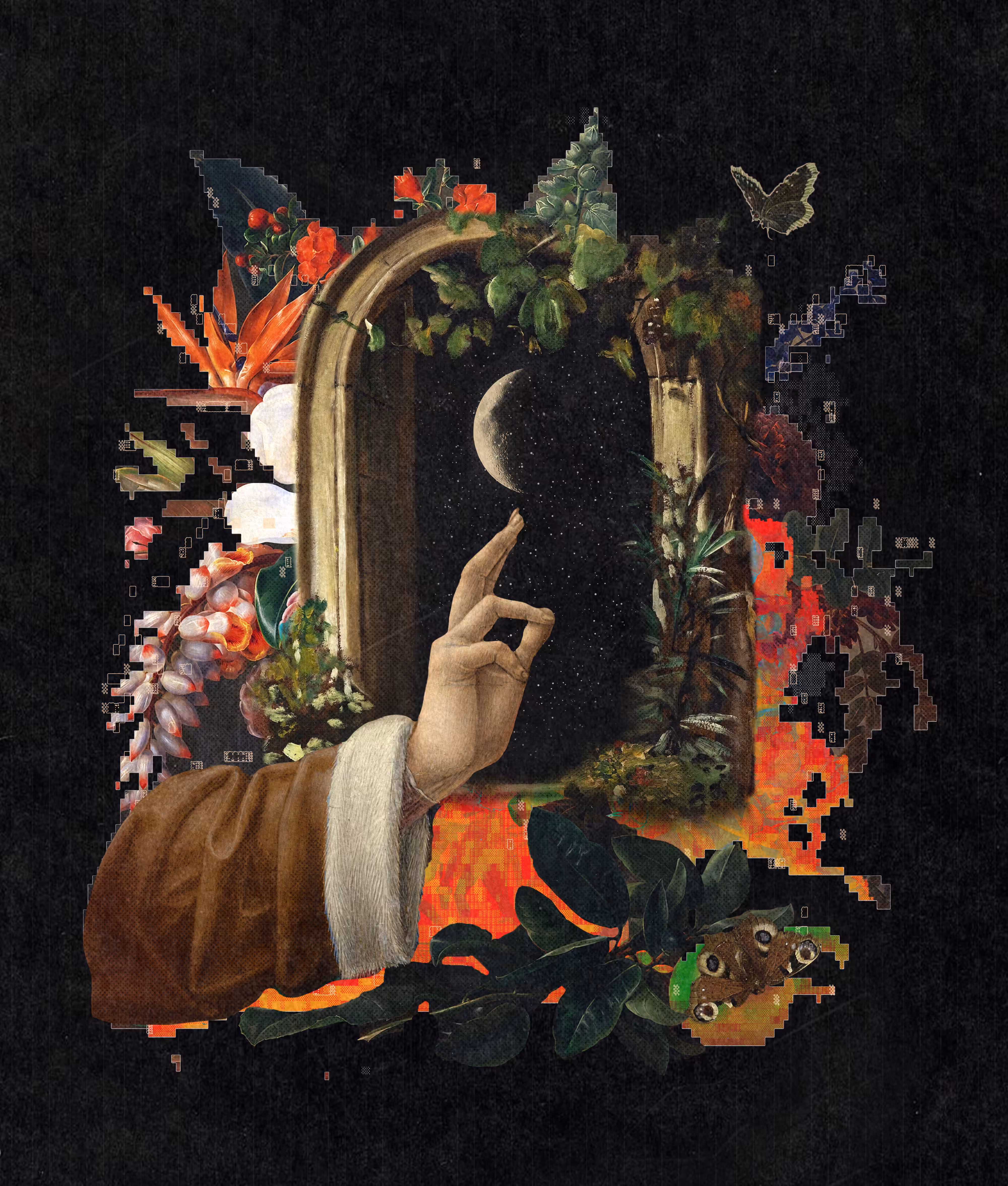 midnight bloom.