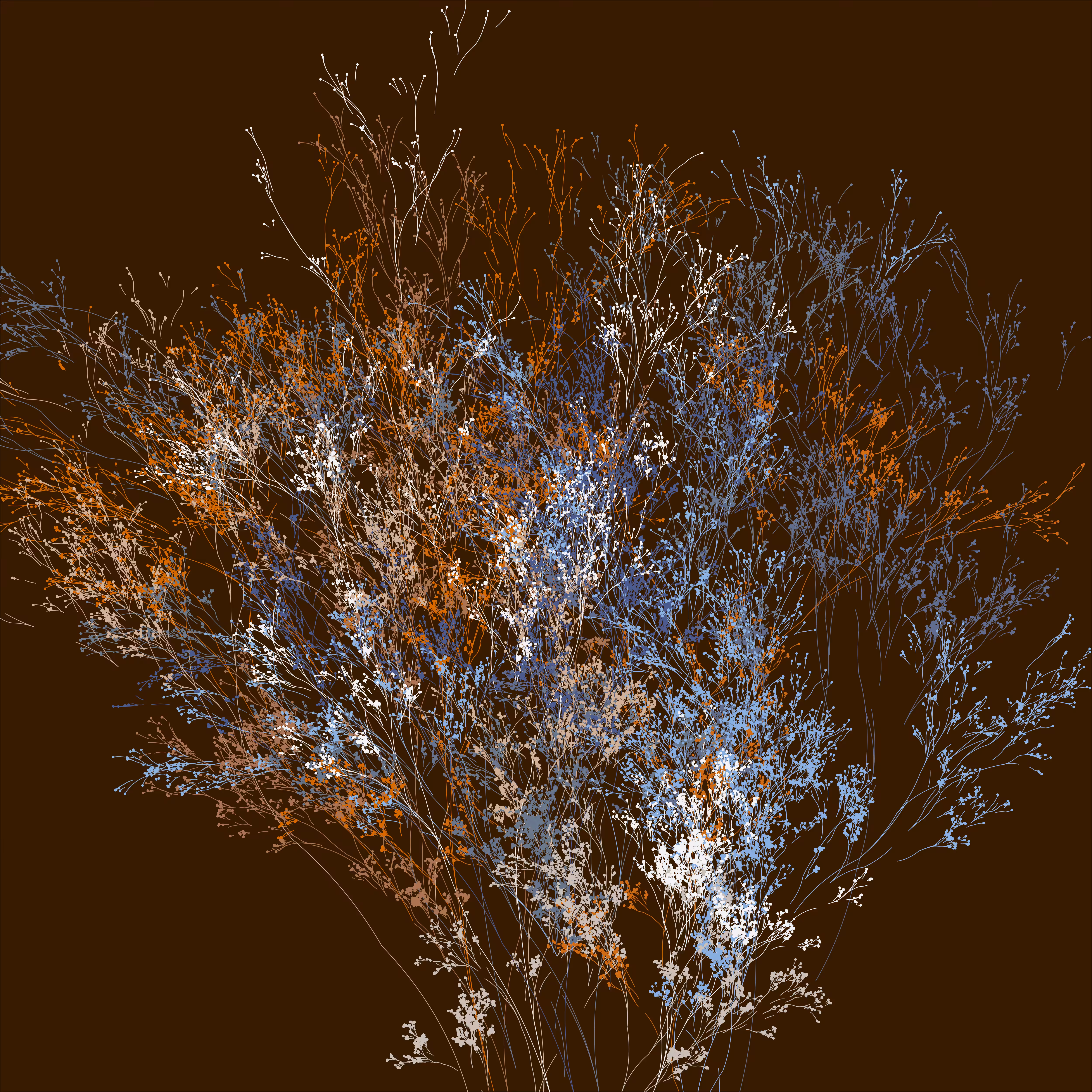 Native Flora 184