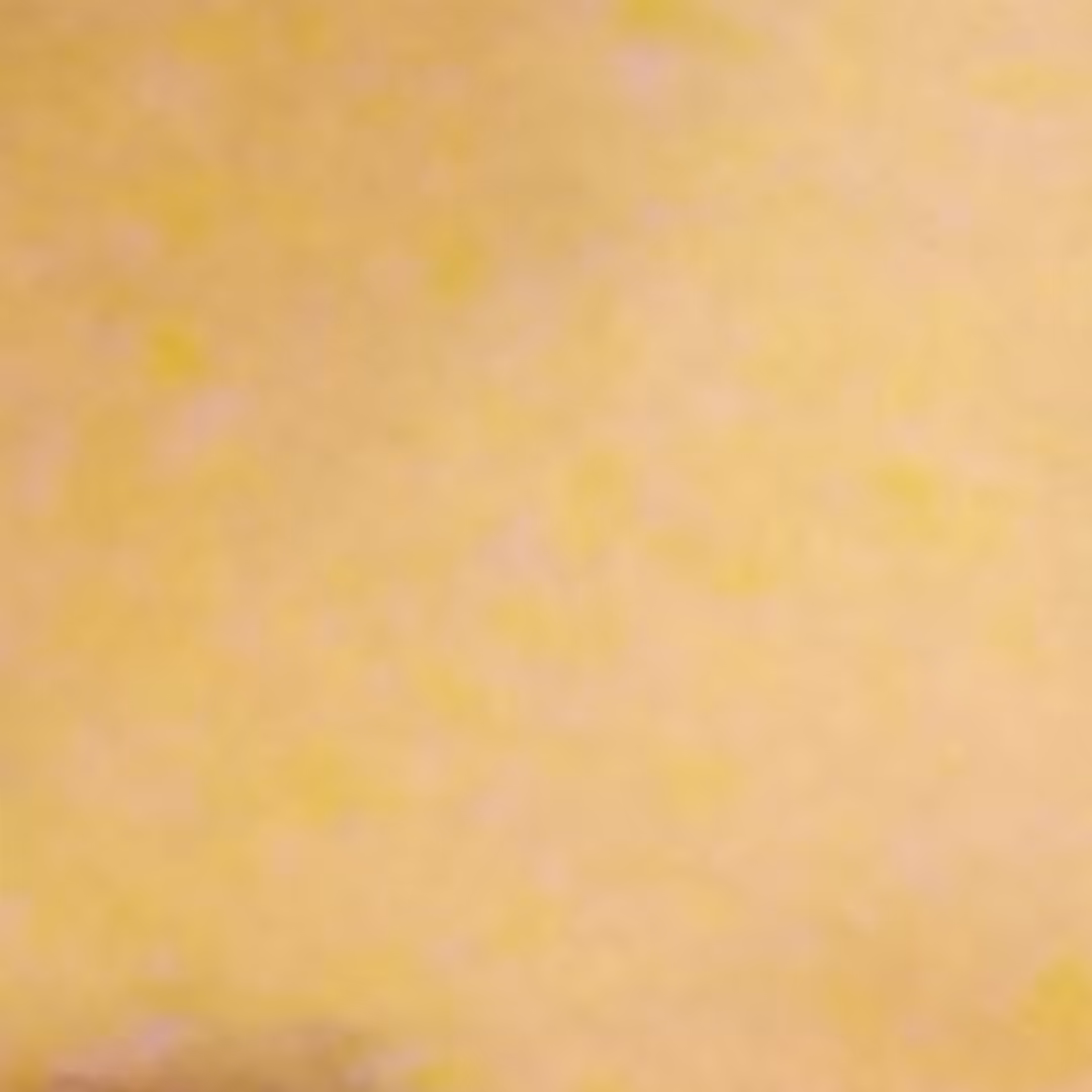 DanIsNFT 12/12