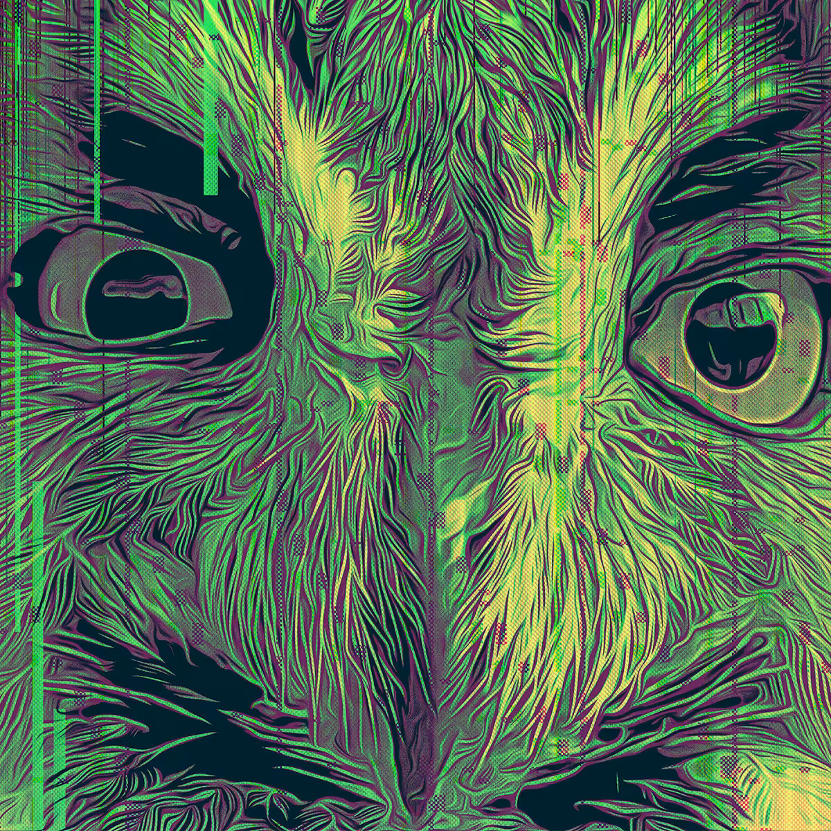 Owl glitch
