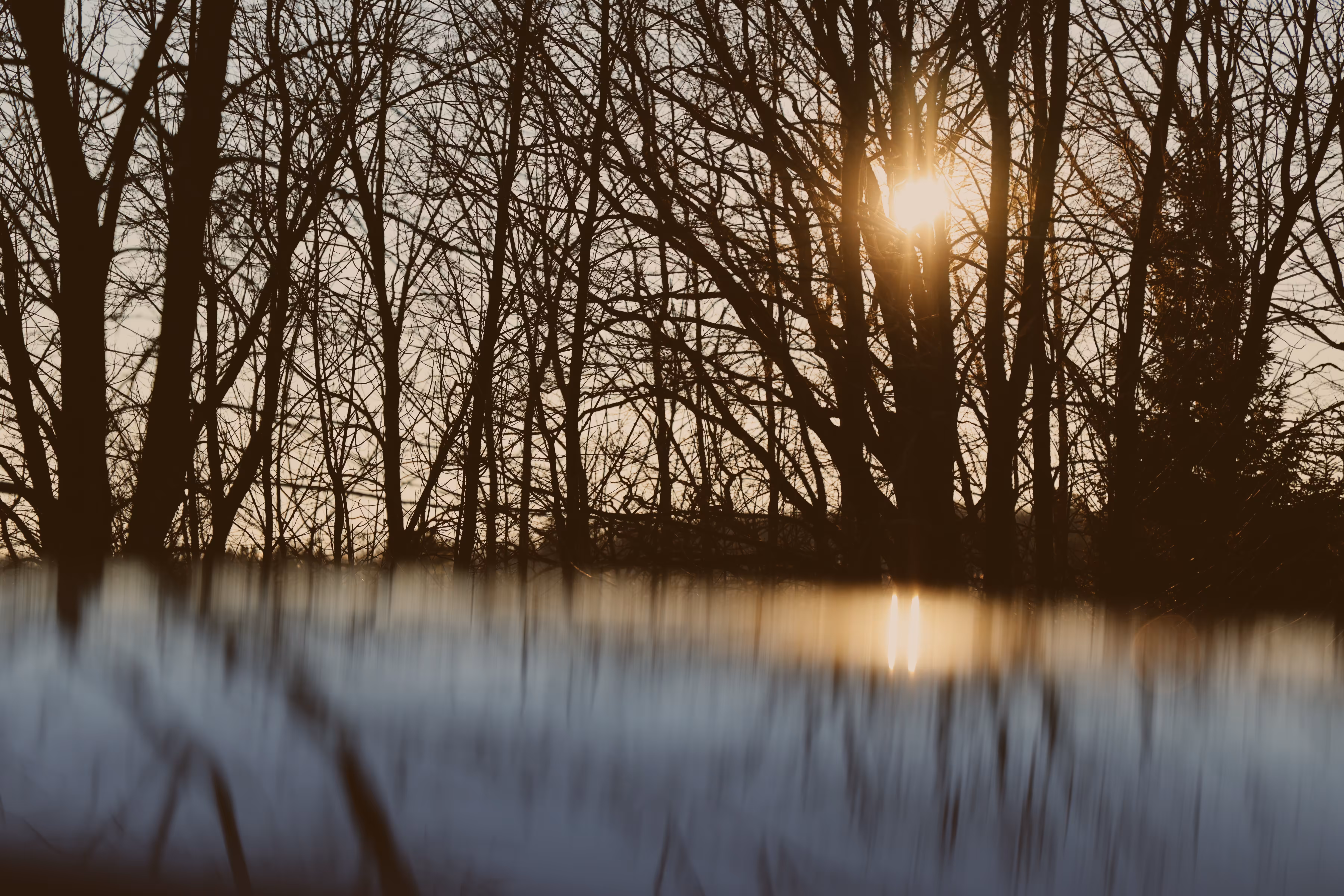 _new outlook
