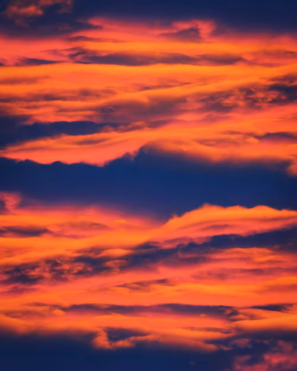 Shørsh Skies