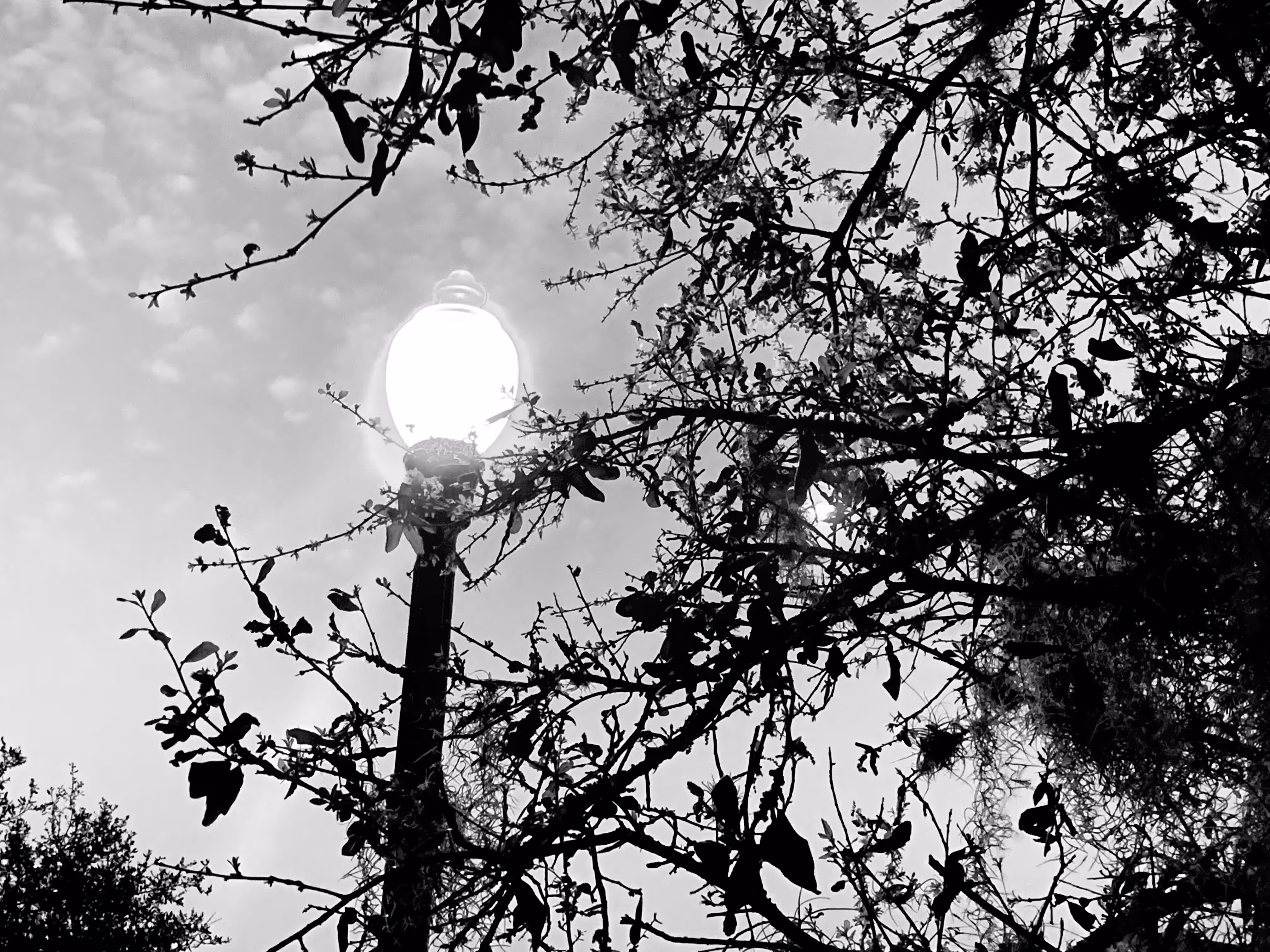The Quiet Cut of Light