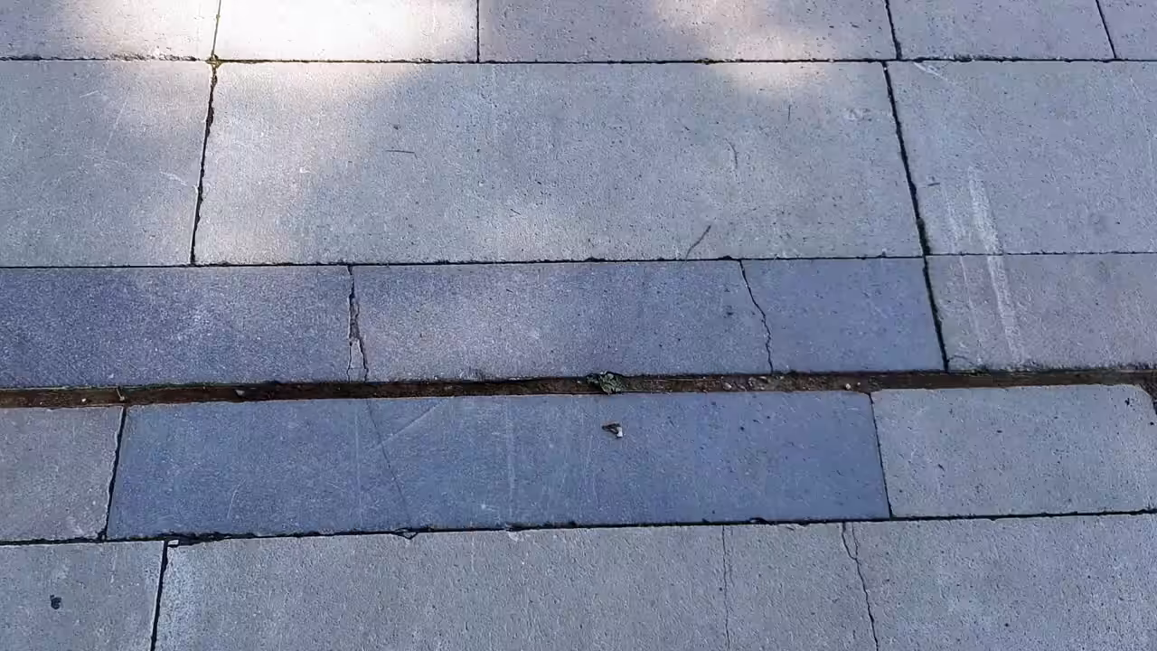 Hi Honey!