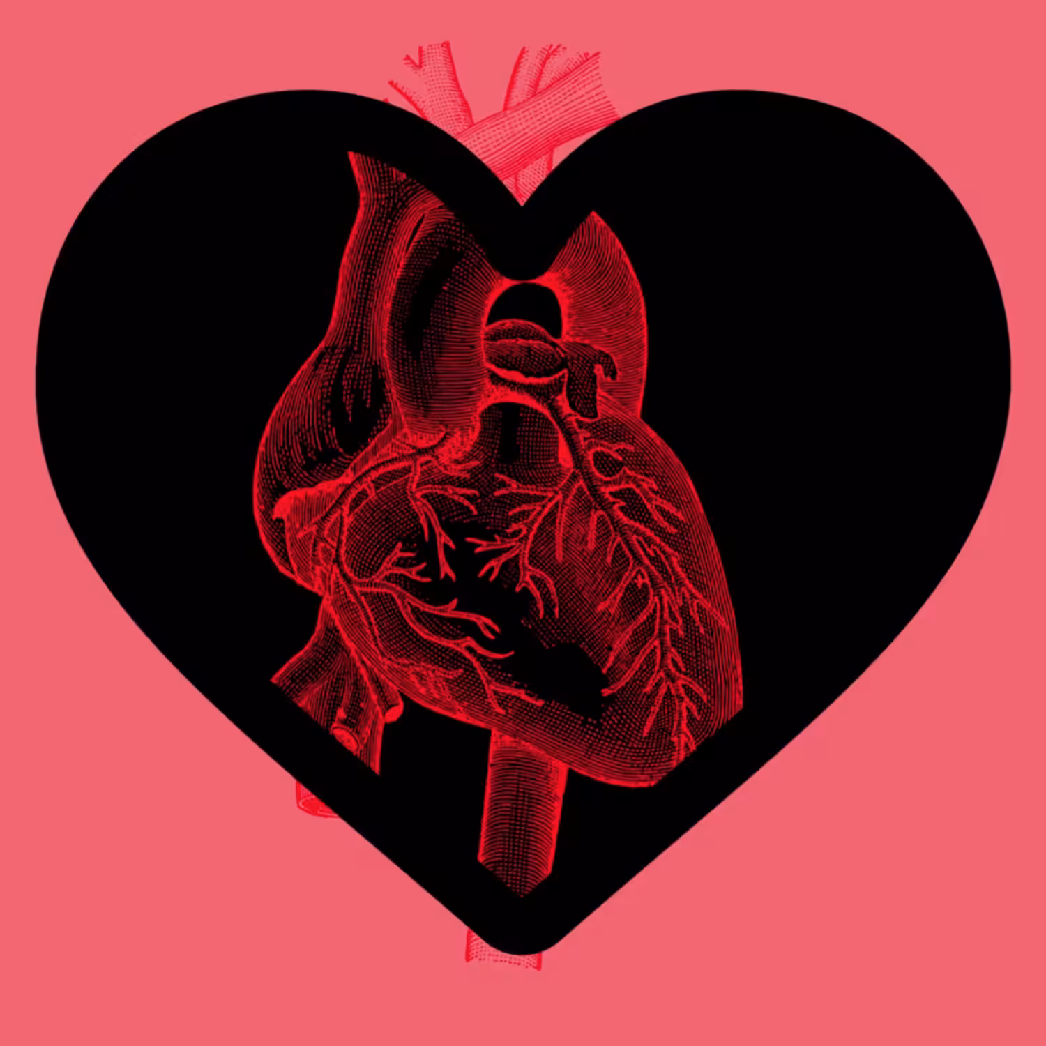 Heart Matters
