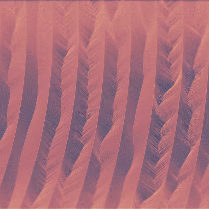 Microsillon #53