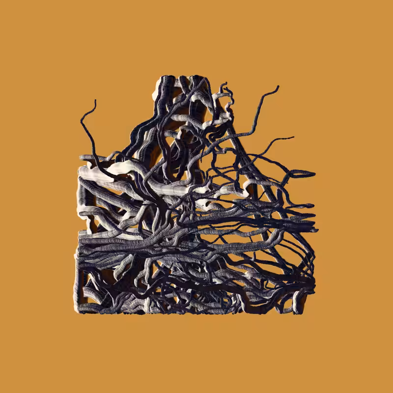 Root #6