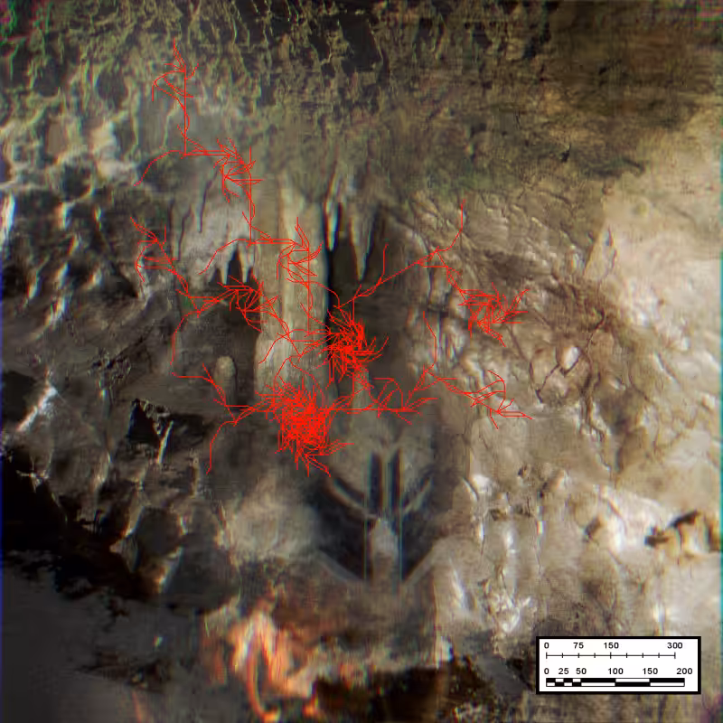 ππΆππ π«πππππΎπ #2
