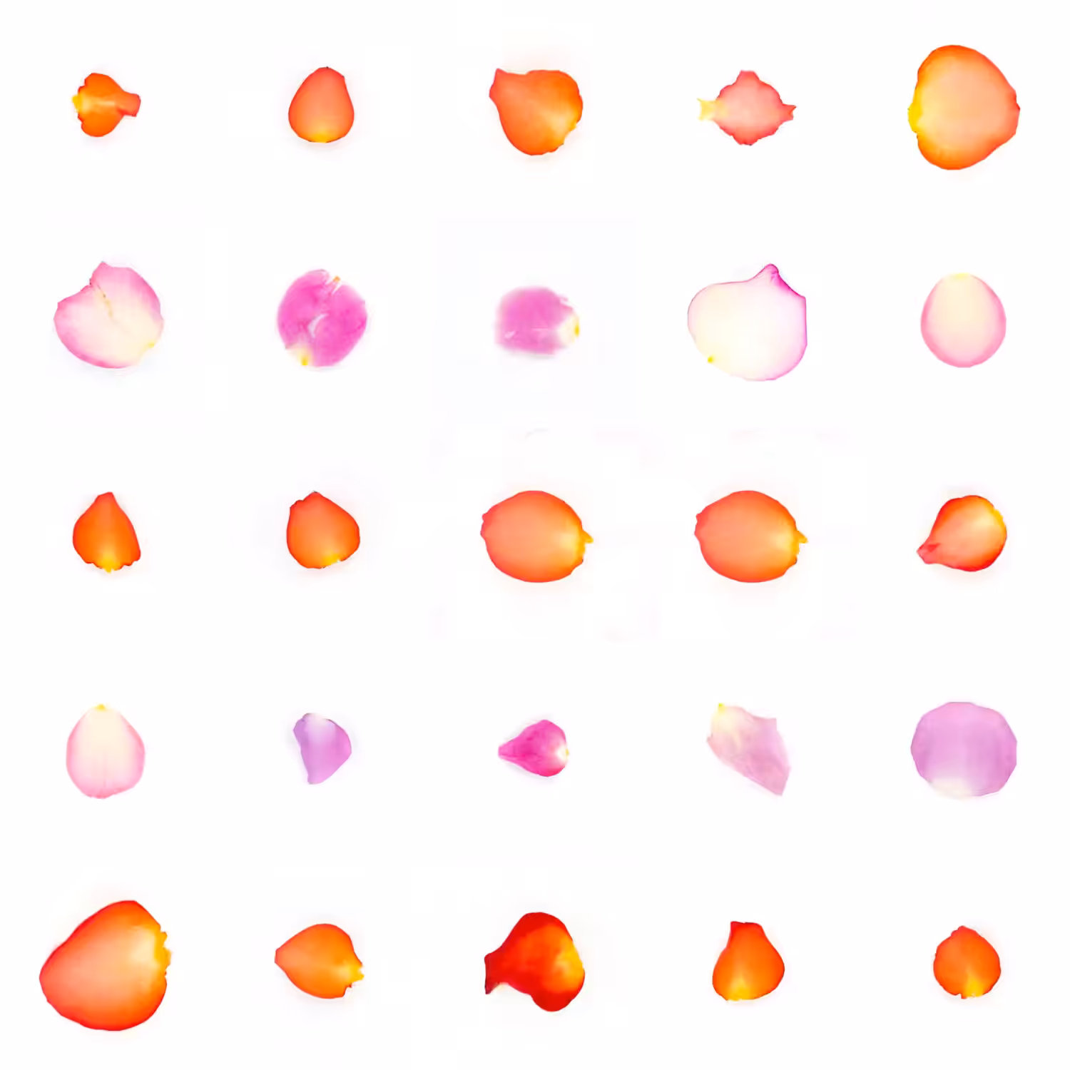 Infinite Petals 5x5#20208