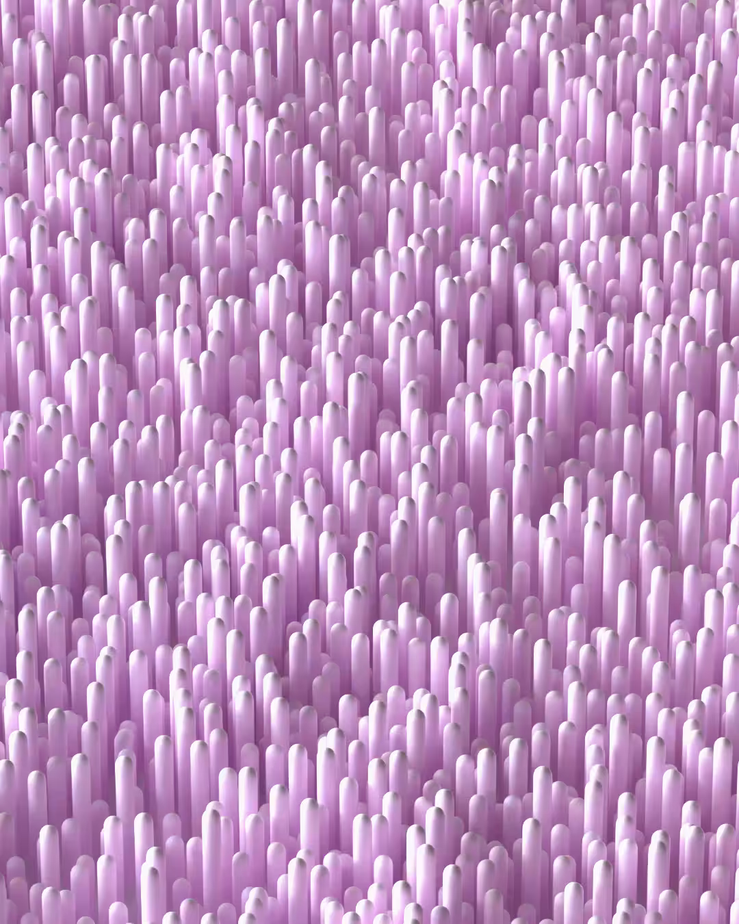 Fields of Pink Coral
