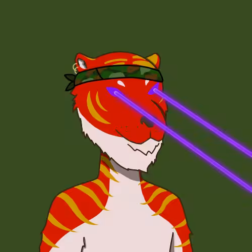 Tiger #12