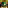 Pixelated Memory No. 8