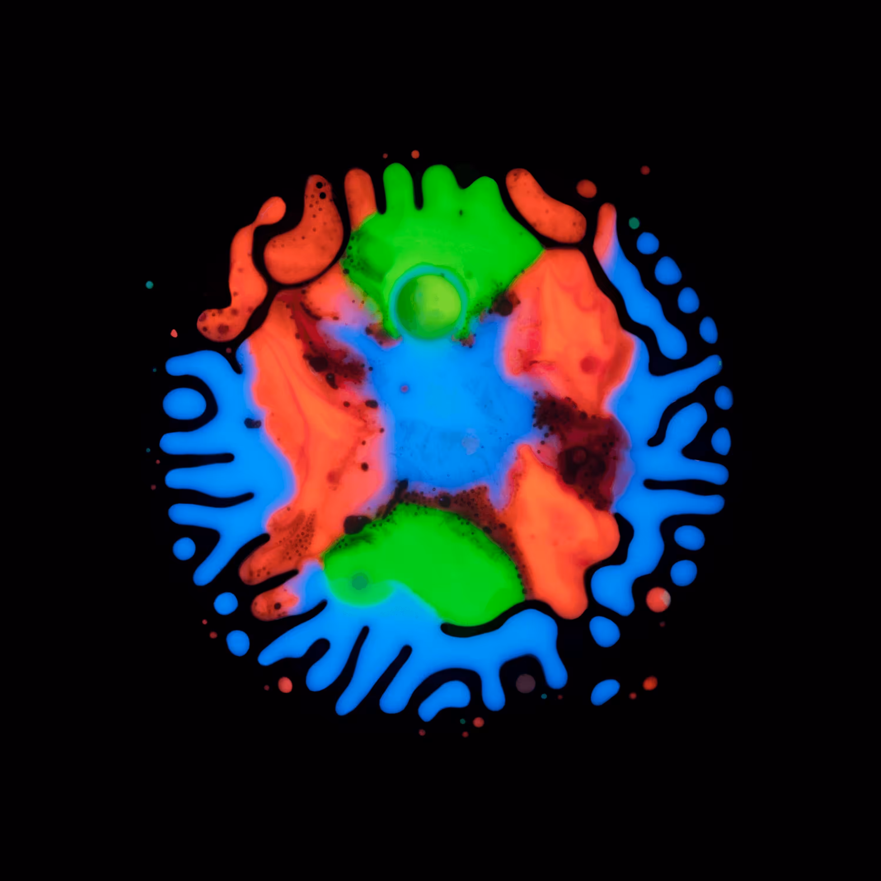 Haematopoiesis #47