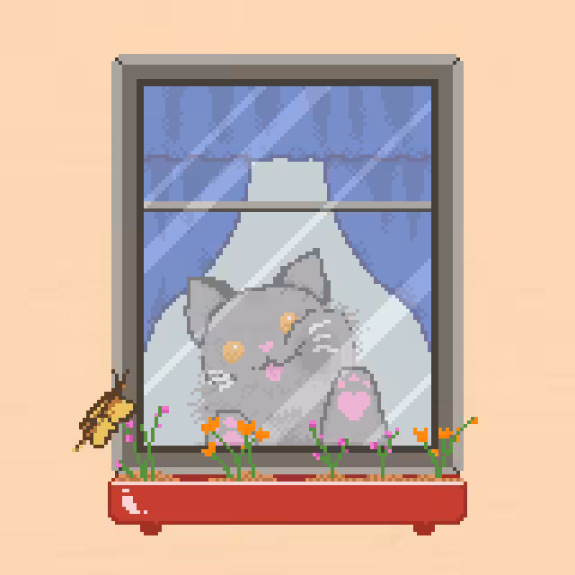 Window Catz #4