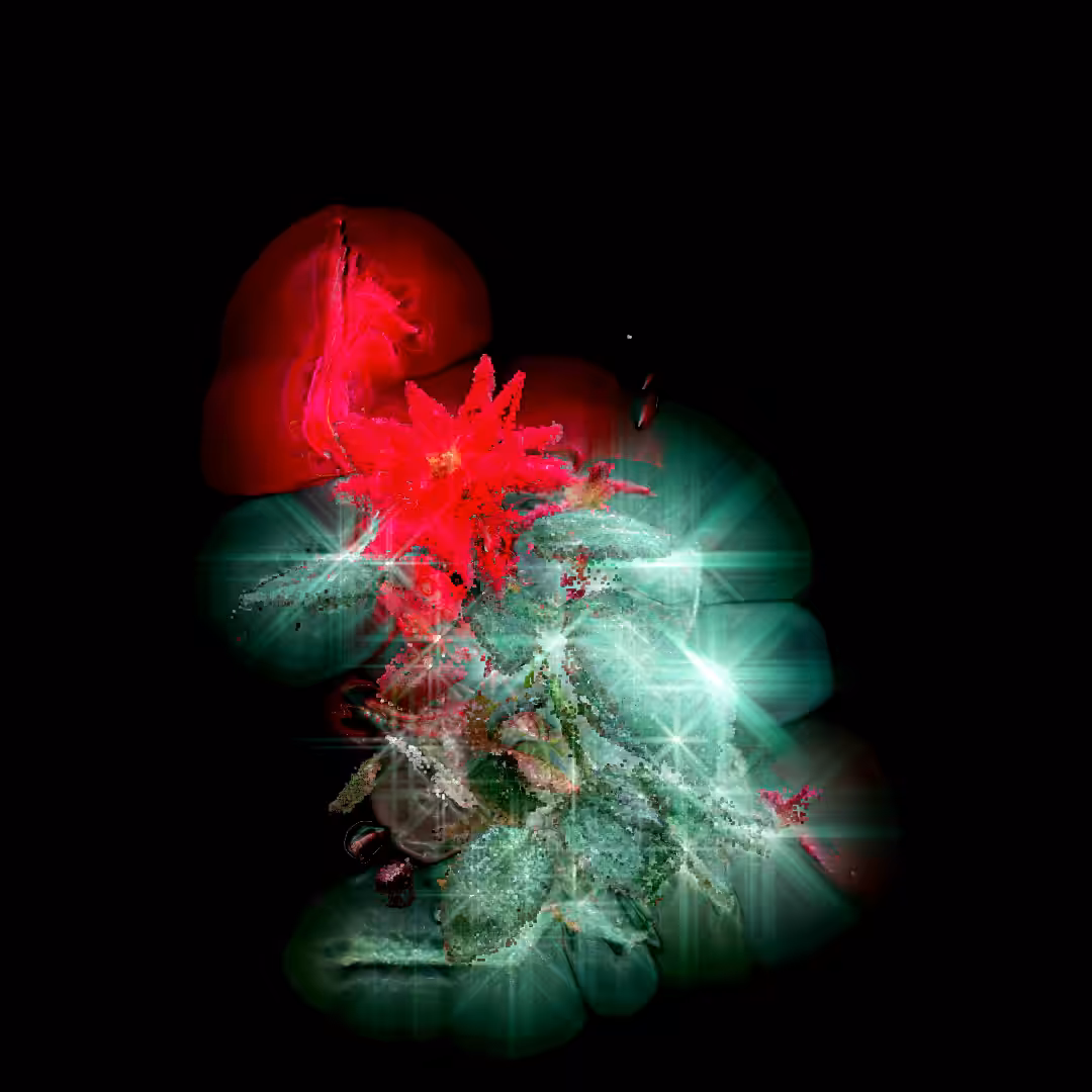 Liquid Red Rose