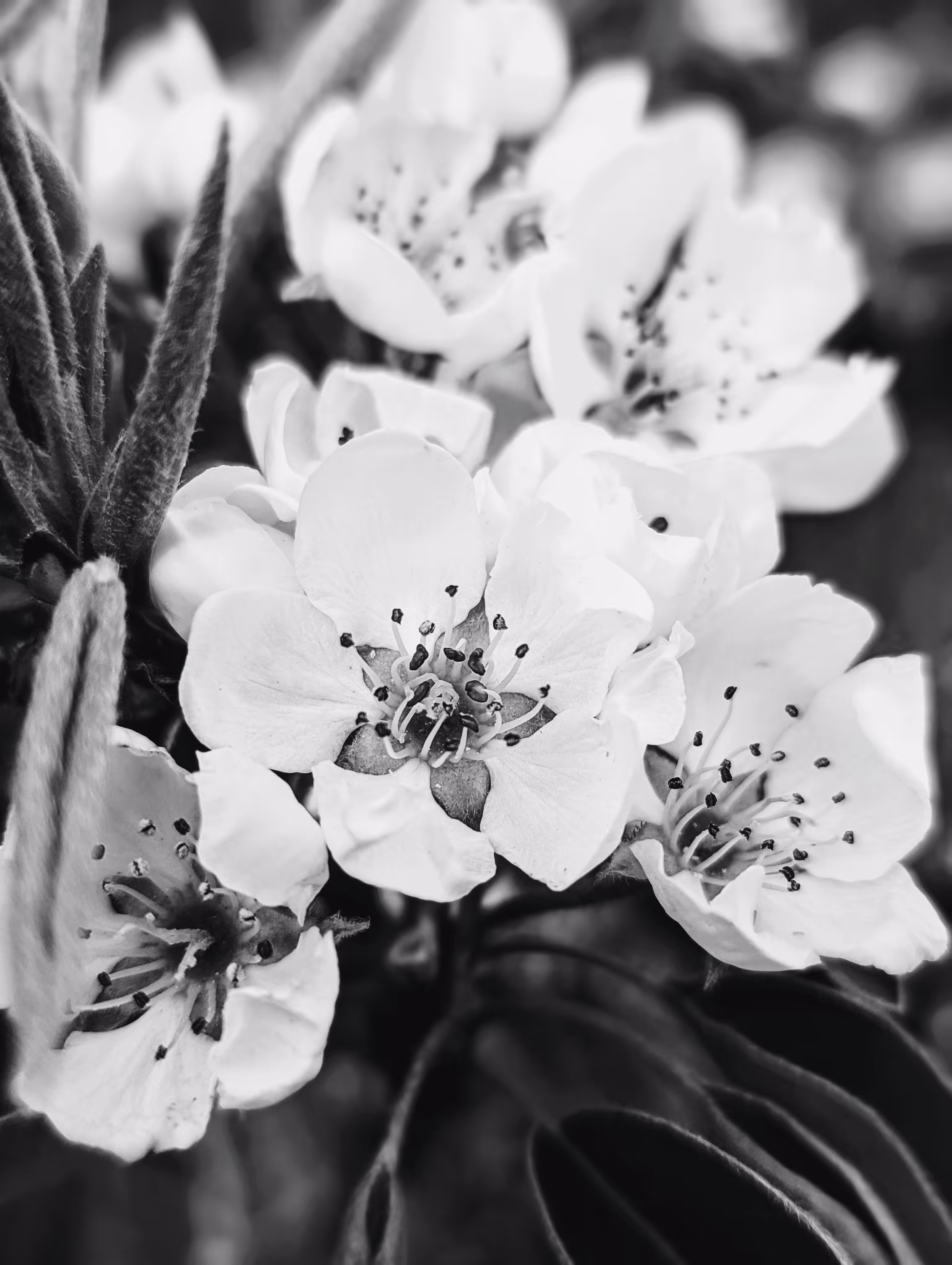 Luke_0x1 Photography : Rise and shine