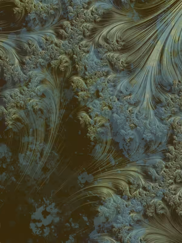 Fractal #311
