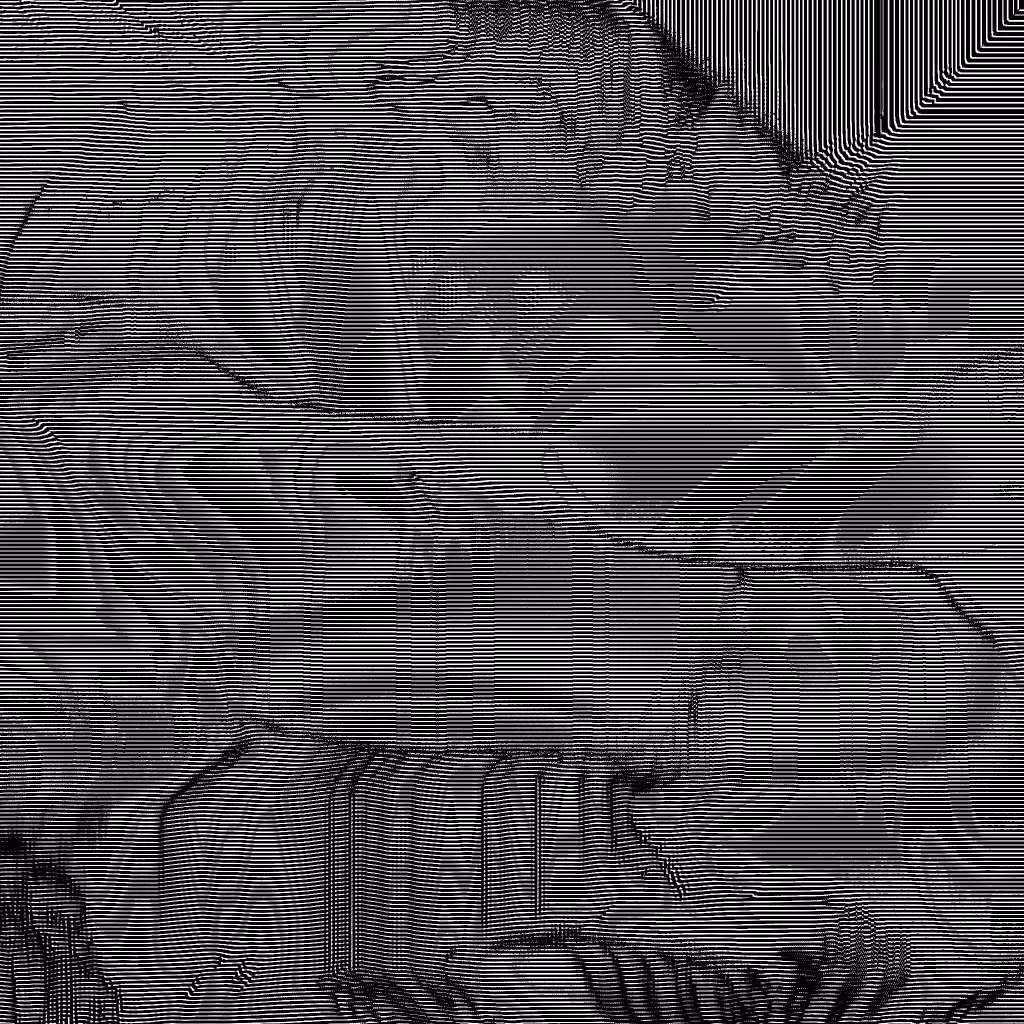 Noise #50 