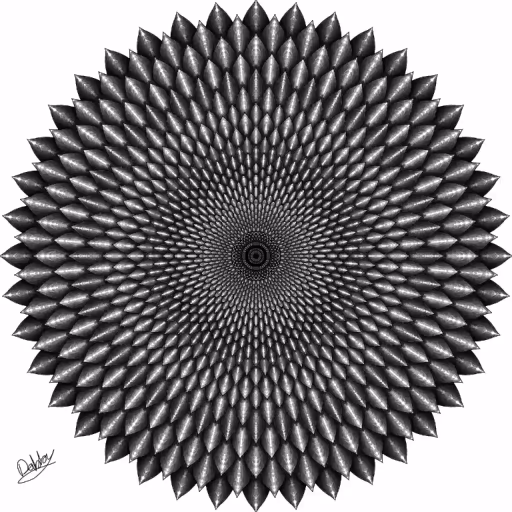Mandala008