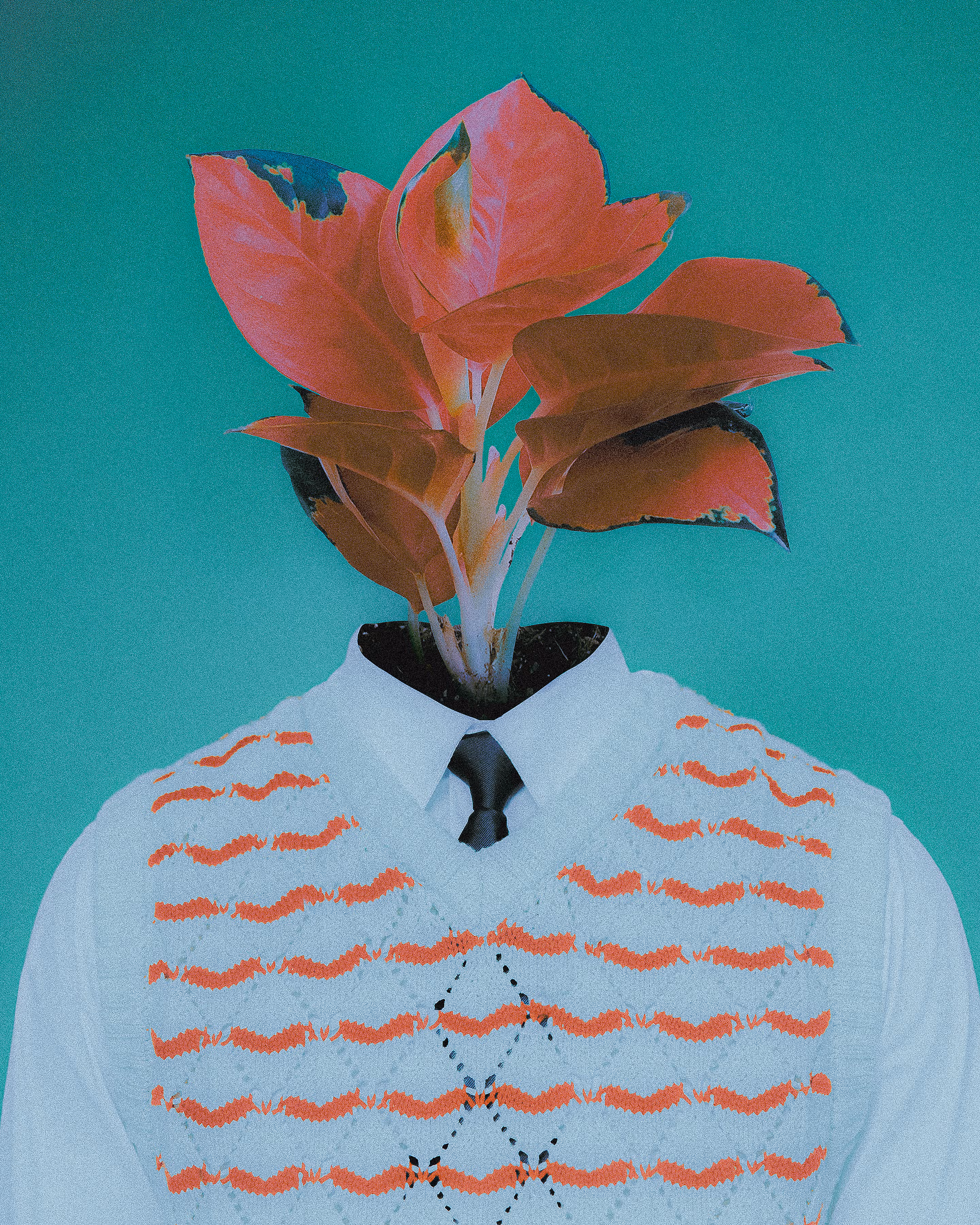 Mr. Leaf