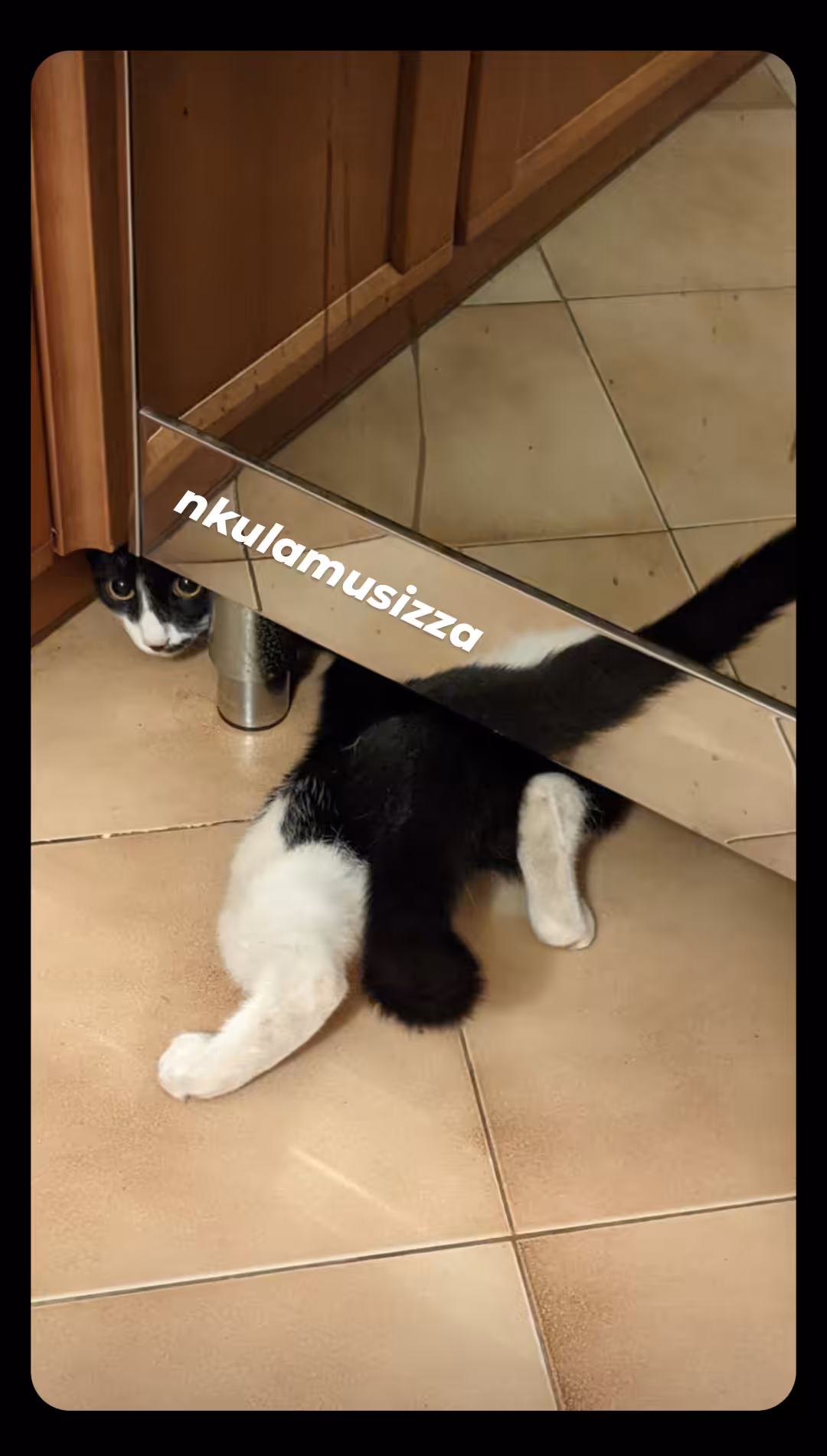 nkulamusizza