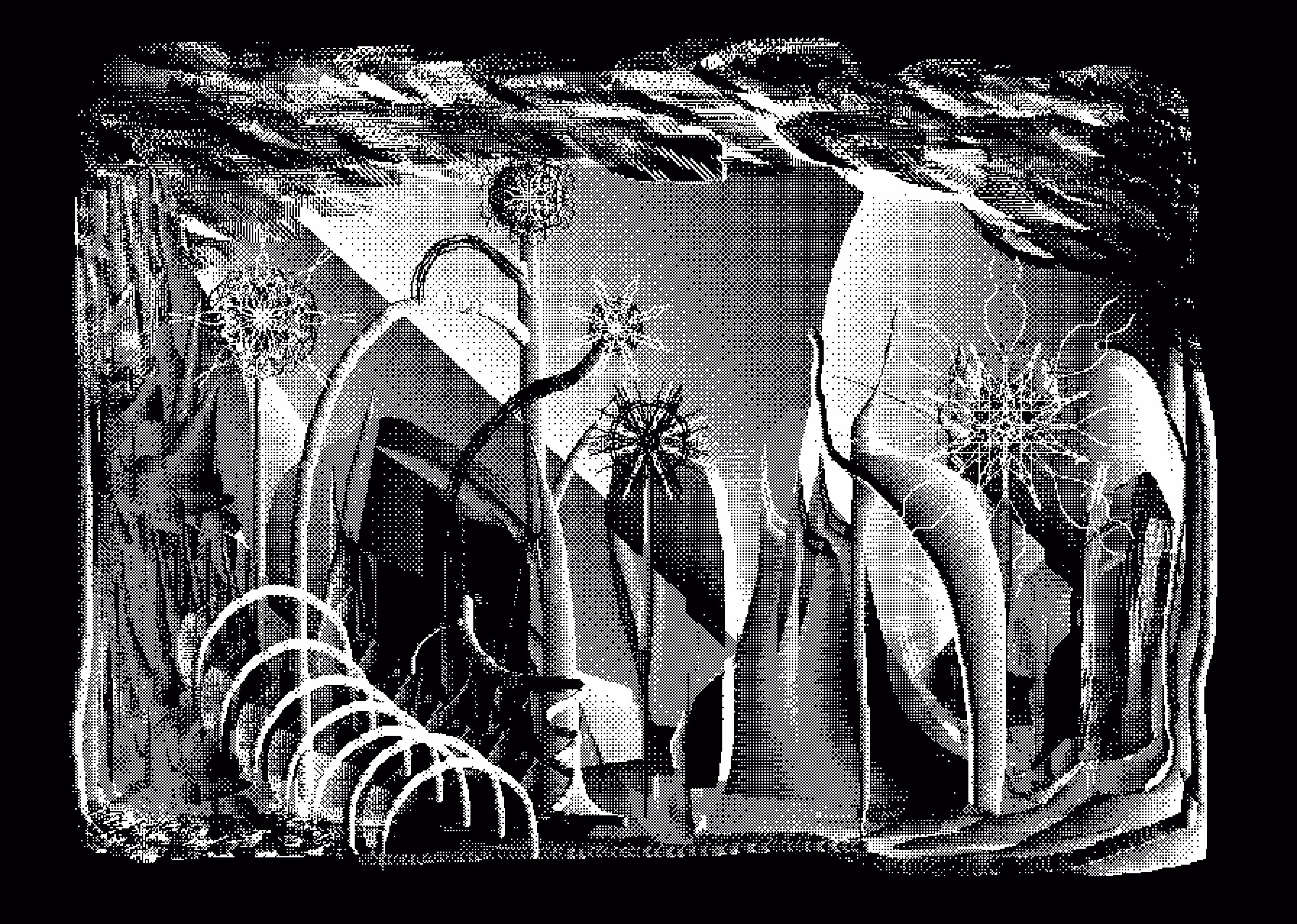 non_euclidean_garden