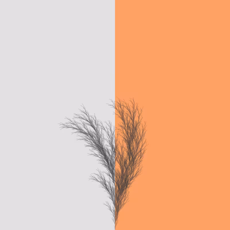 Rushbush #13