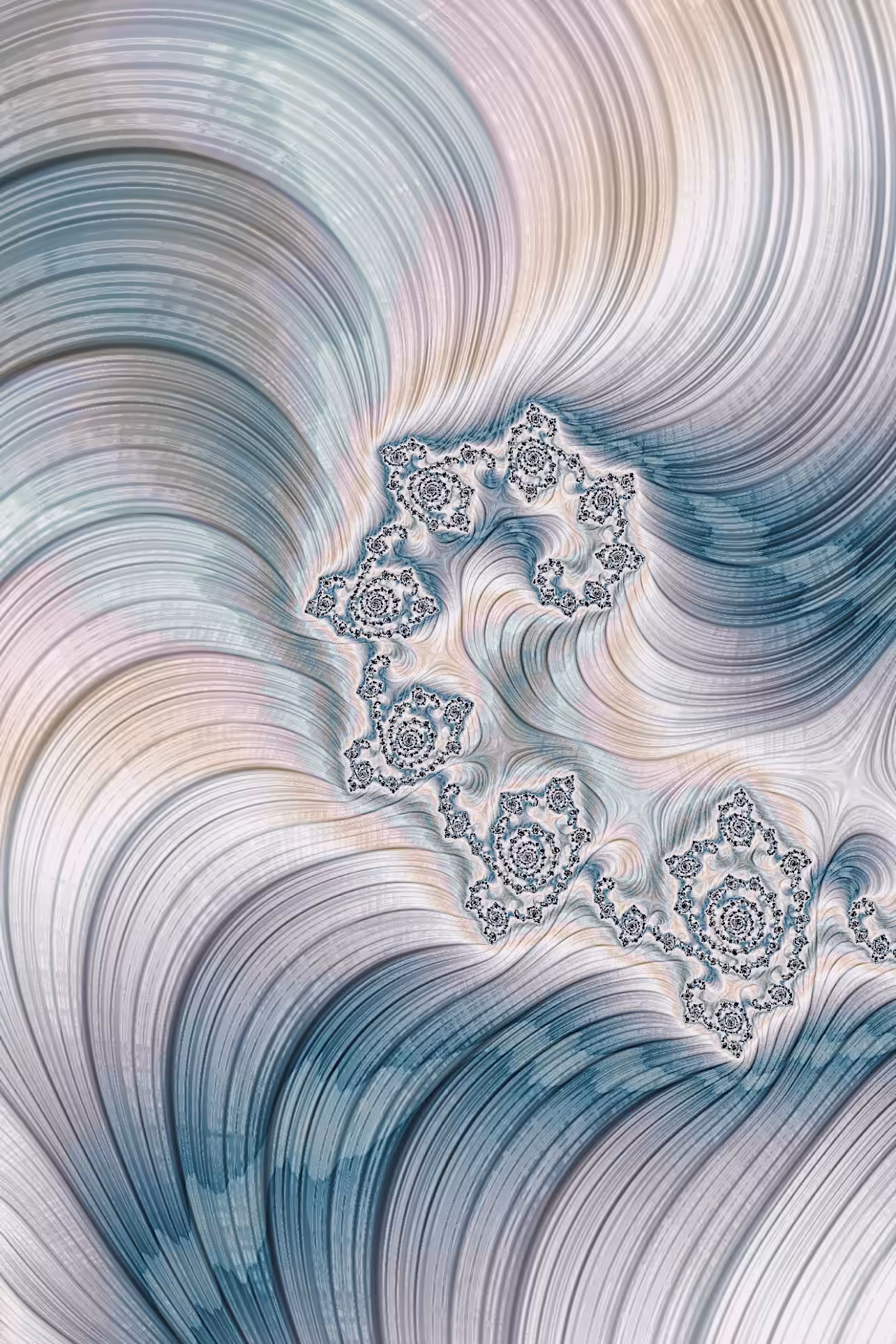 Sea Shell