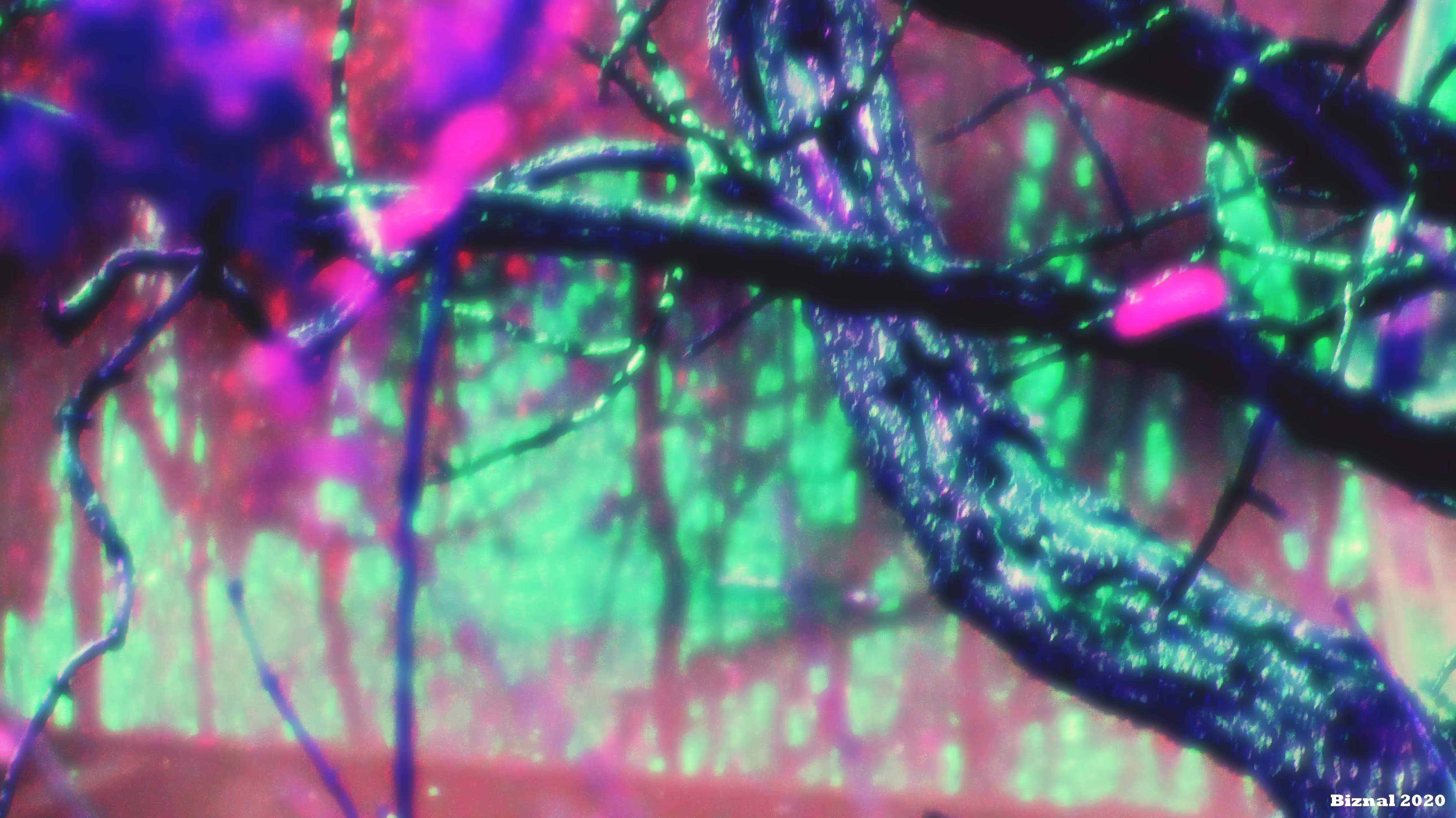 Neon Fire