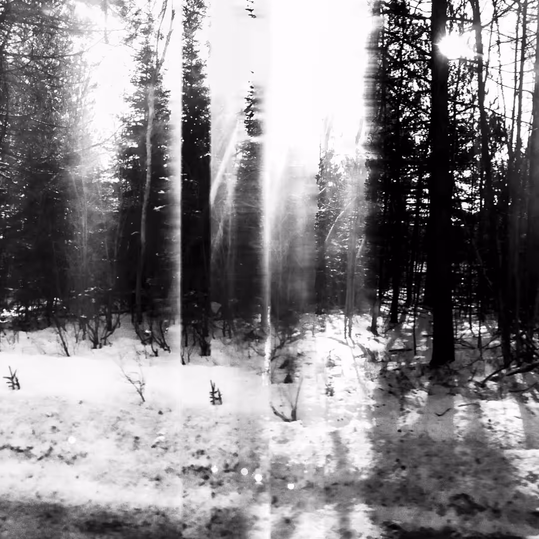 Dirt (Between Vancouver and Whistler)