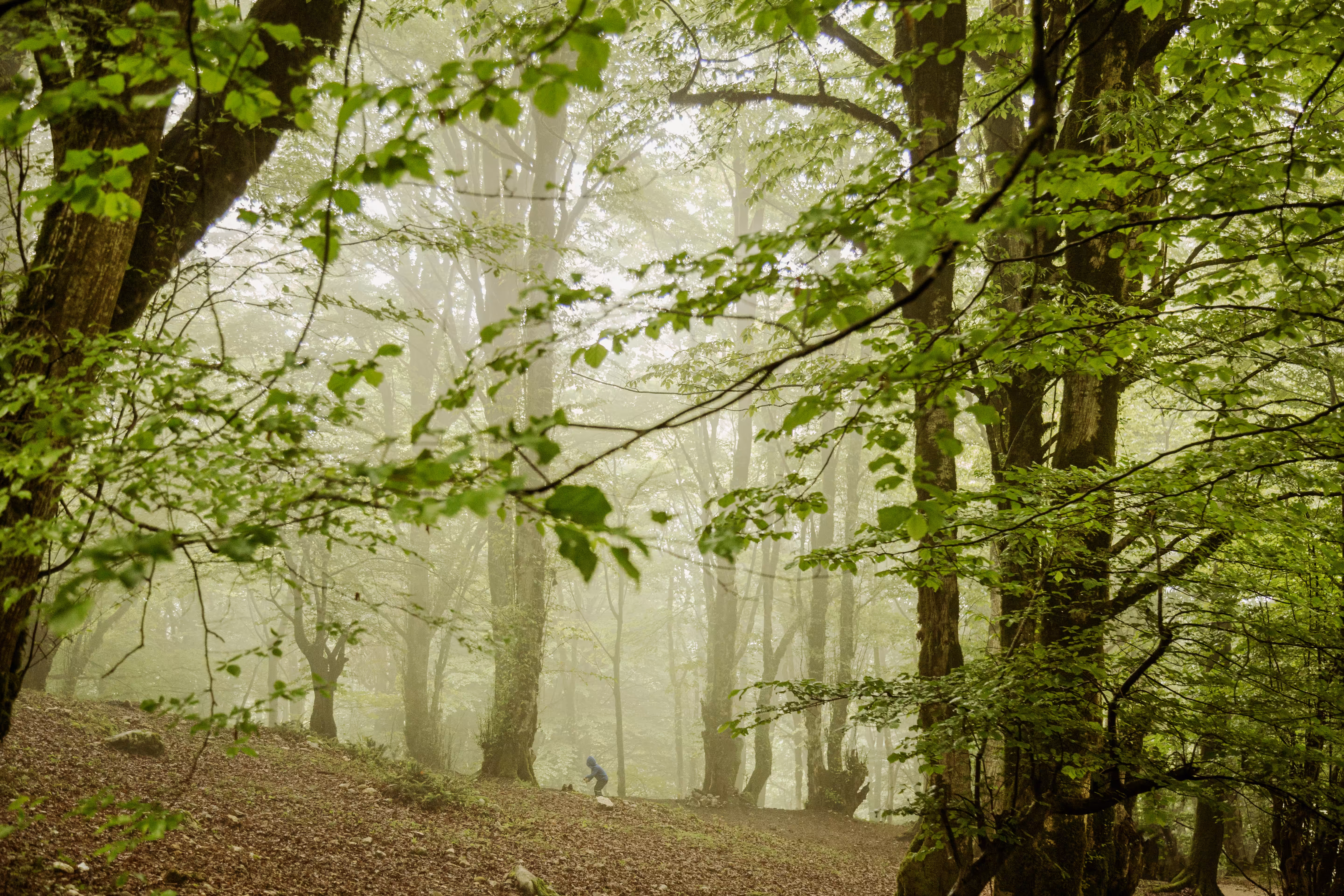 In Nature's Arms