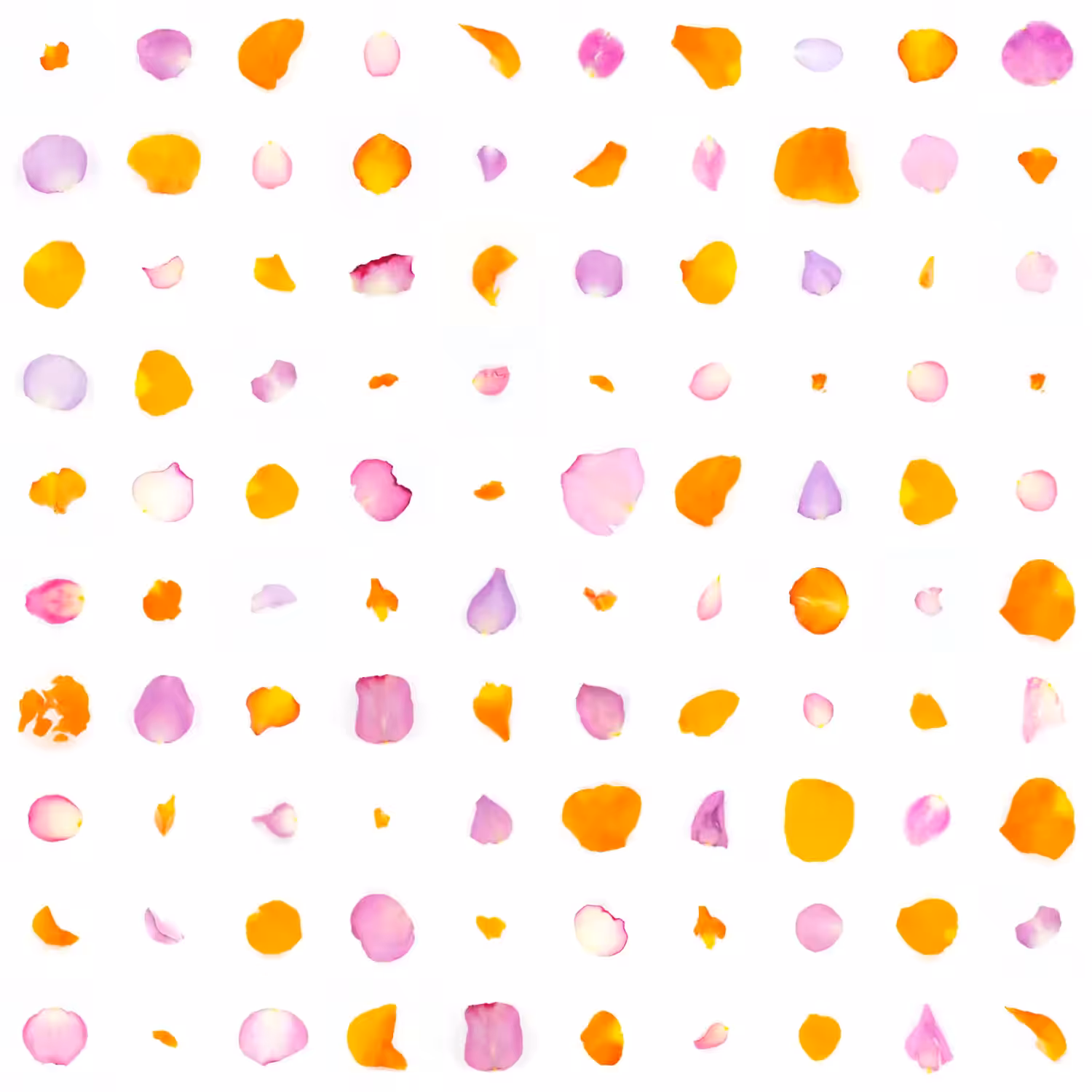 Infinite Petals 10x10#1183