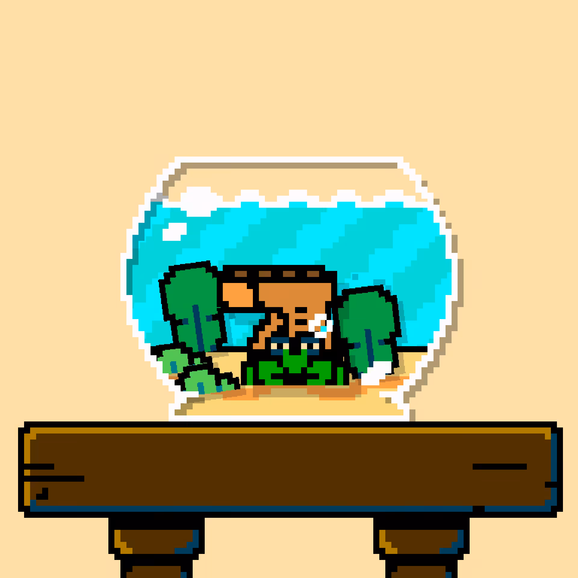 hermit crab #28