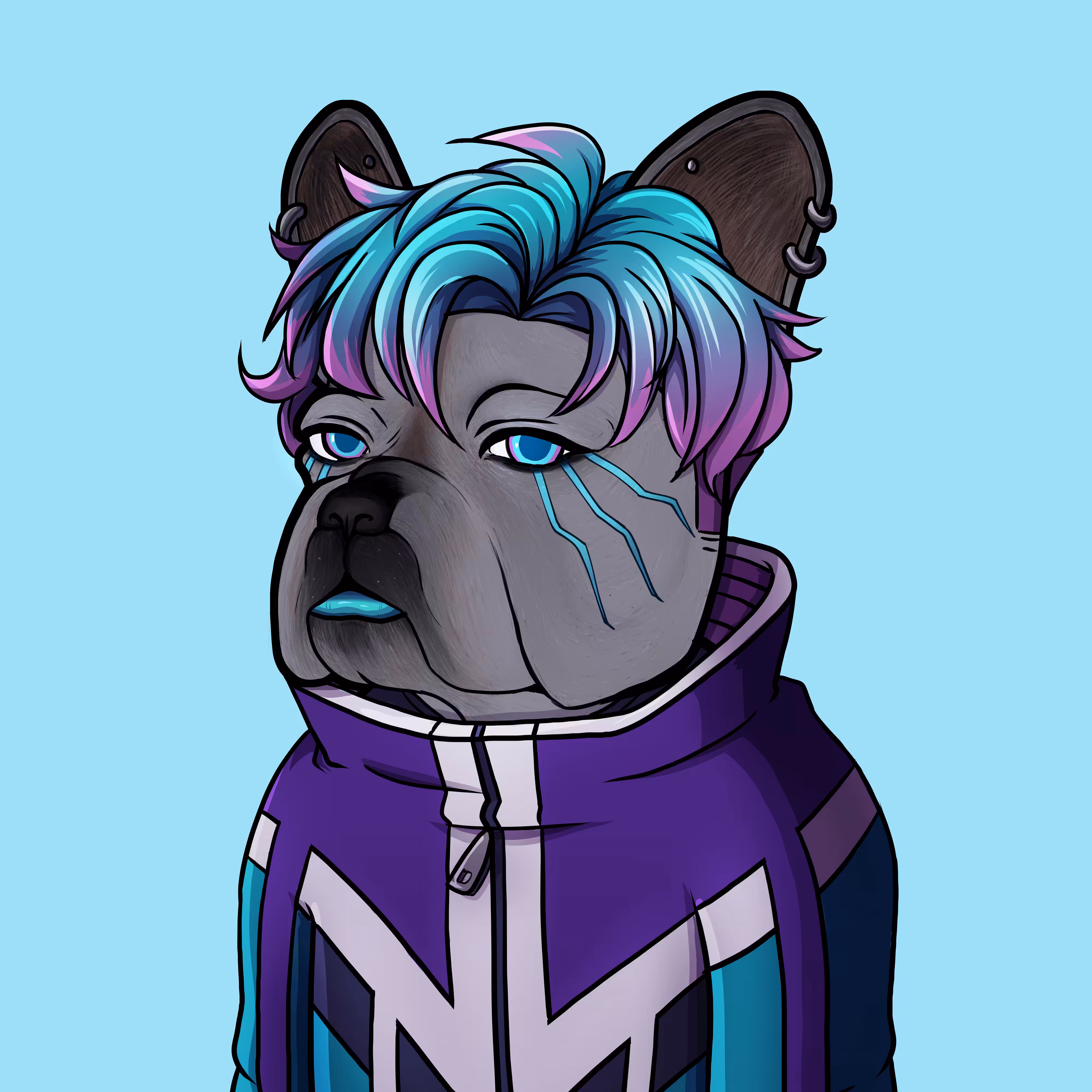 158 Blue Frenchie