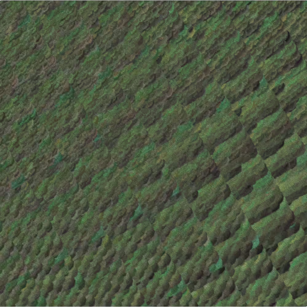 Obfuscation #12